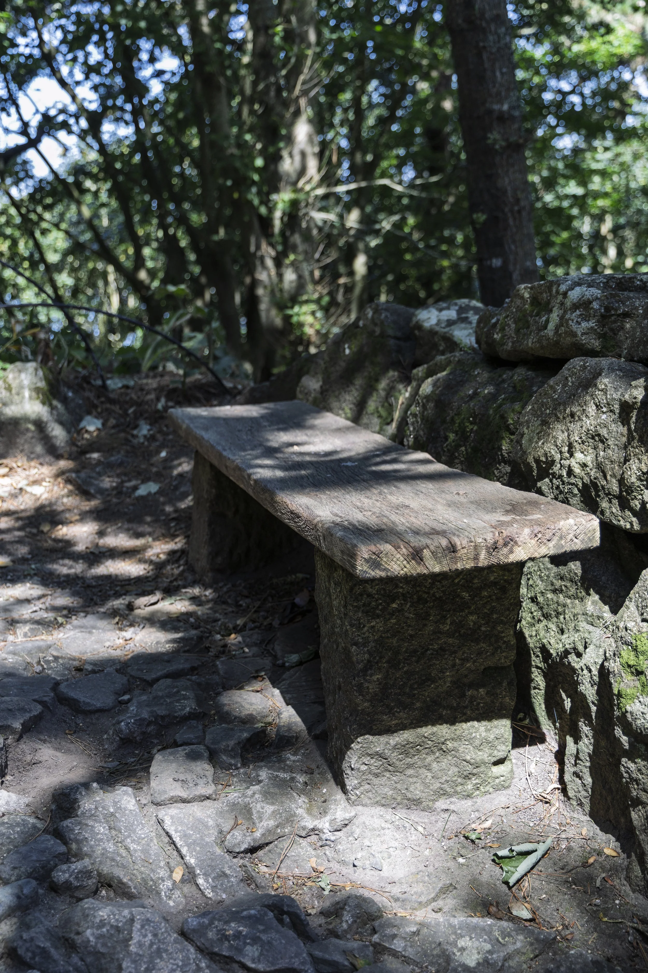 Bench on the Way Up
