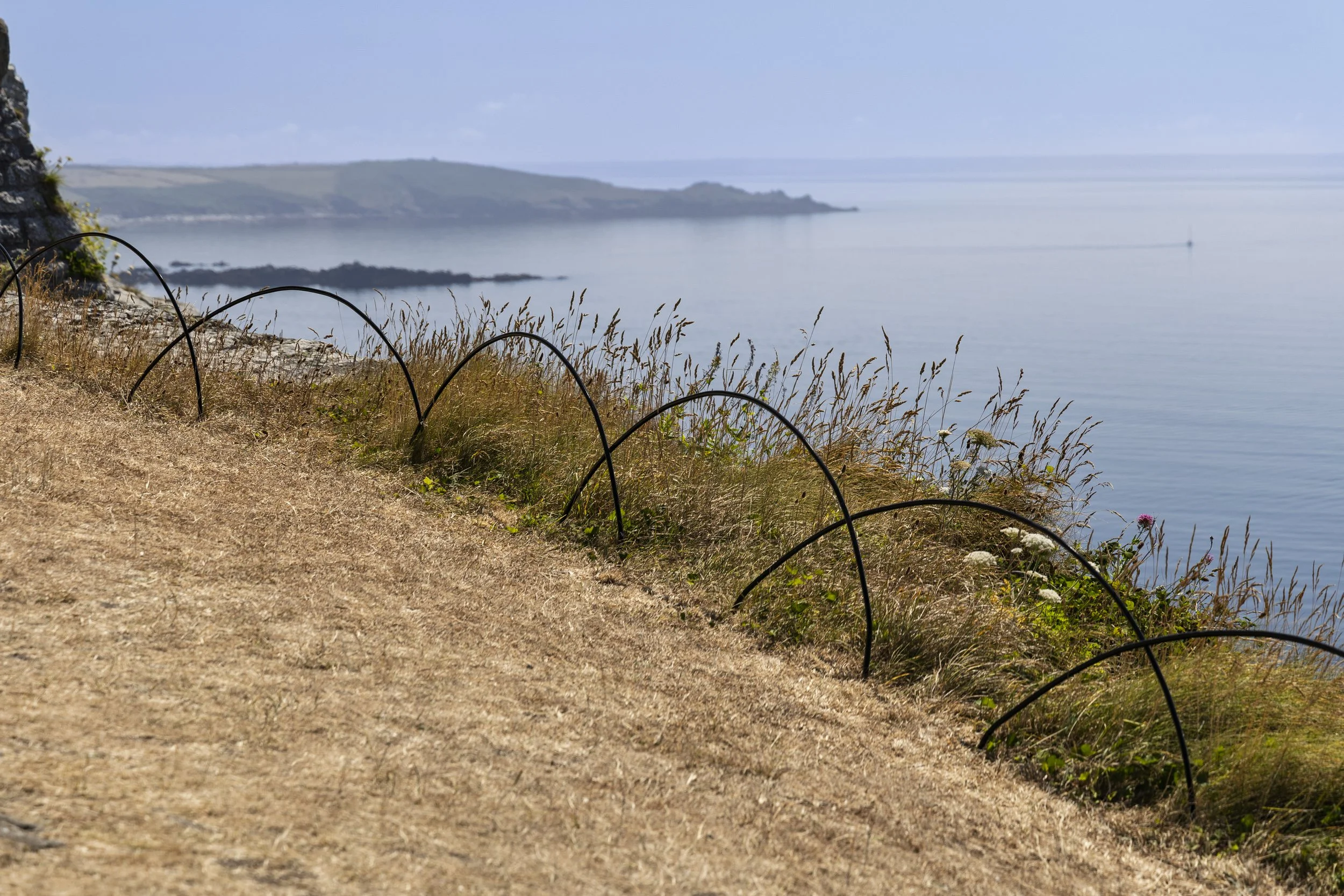 Low Wire Fence