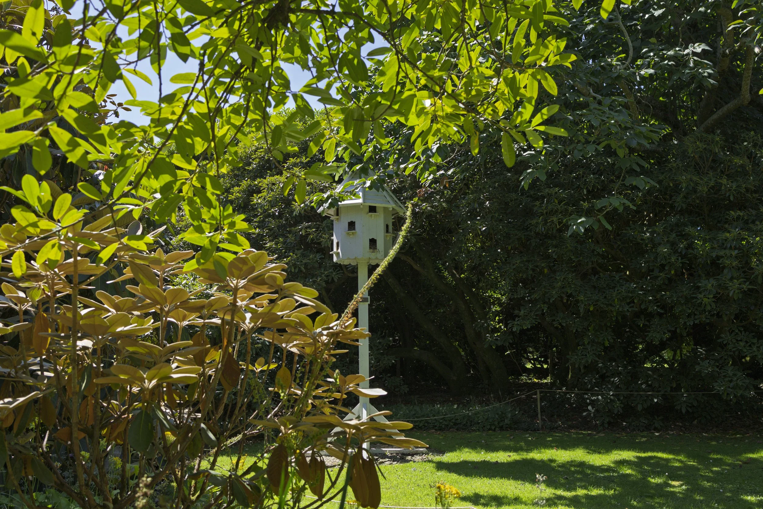 Birdhouse