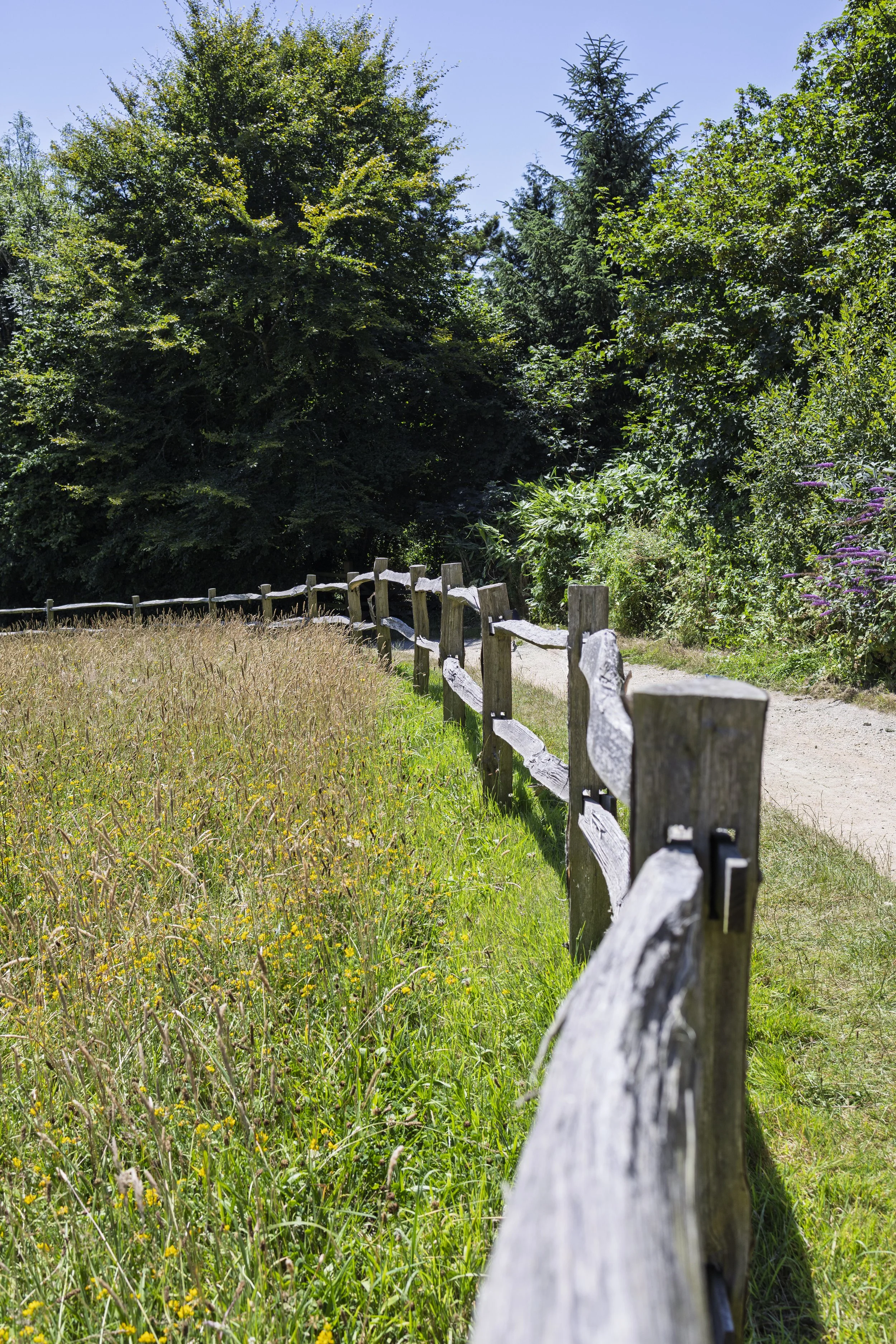 Fence Rail