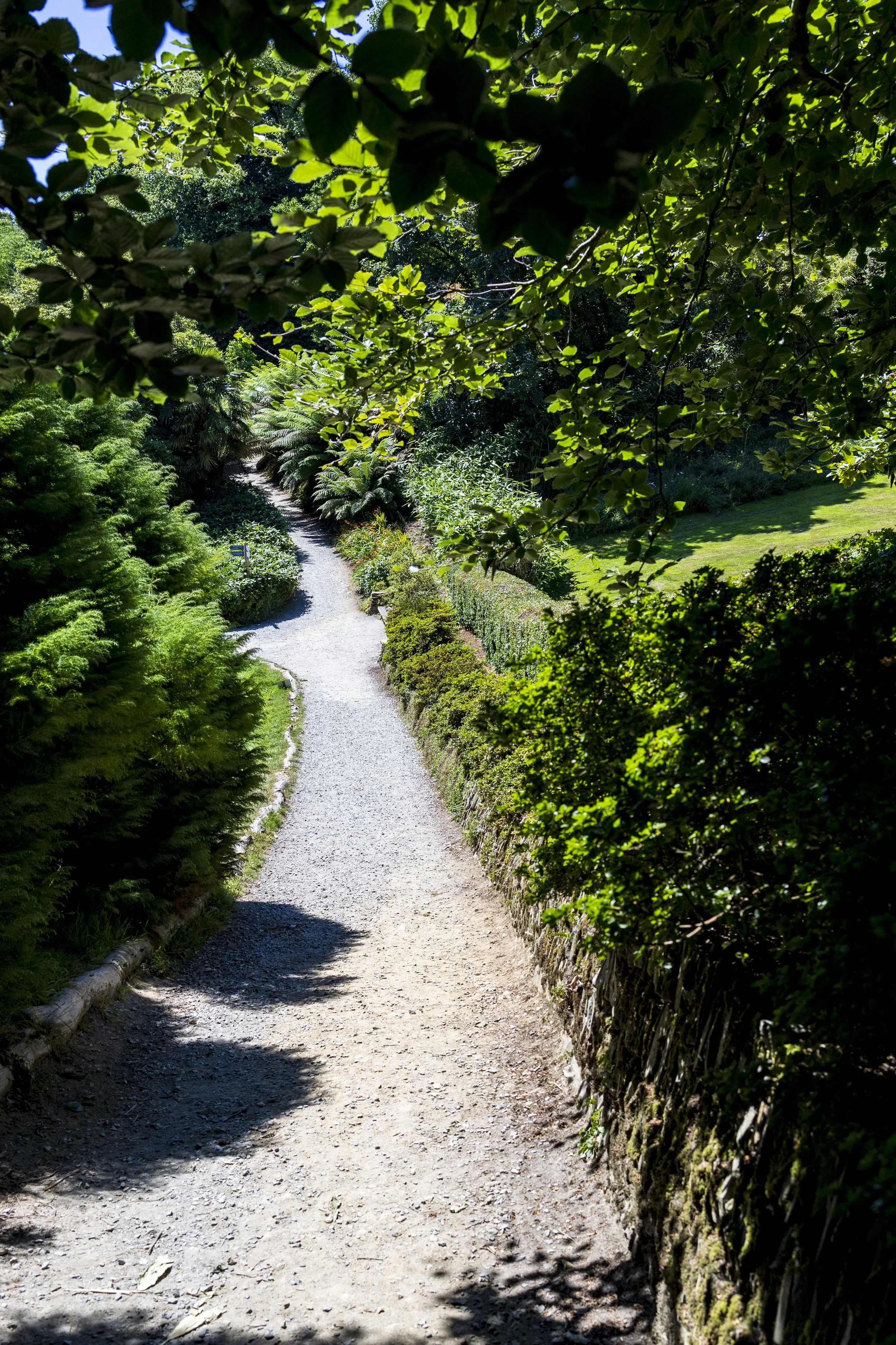 Path Along the House