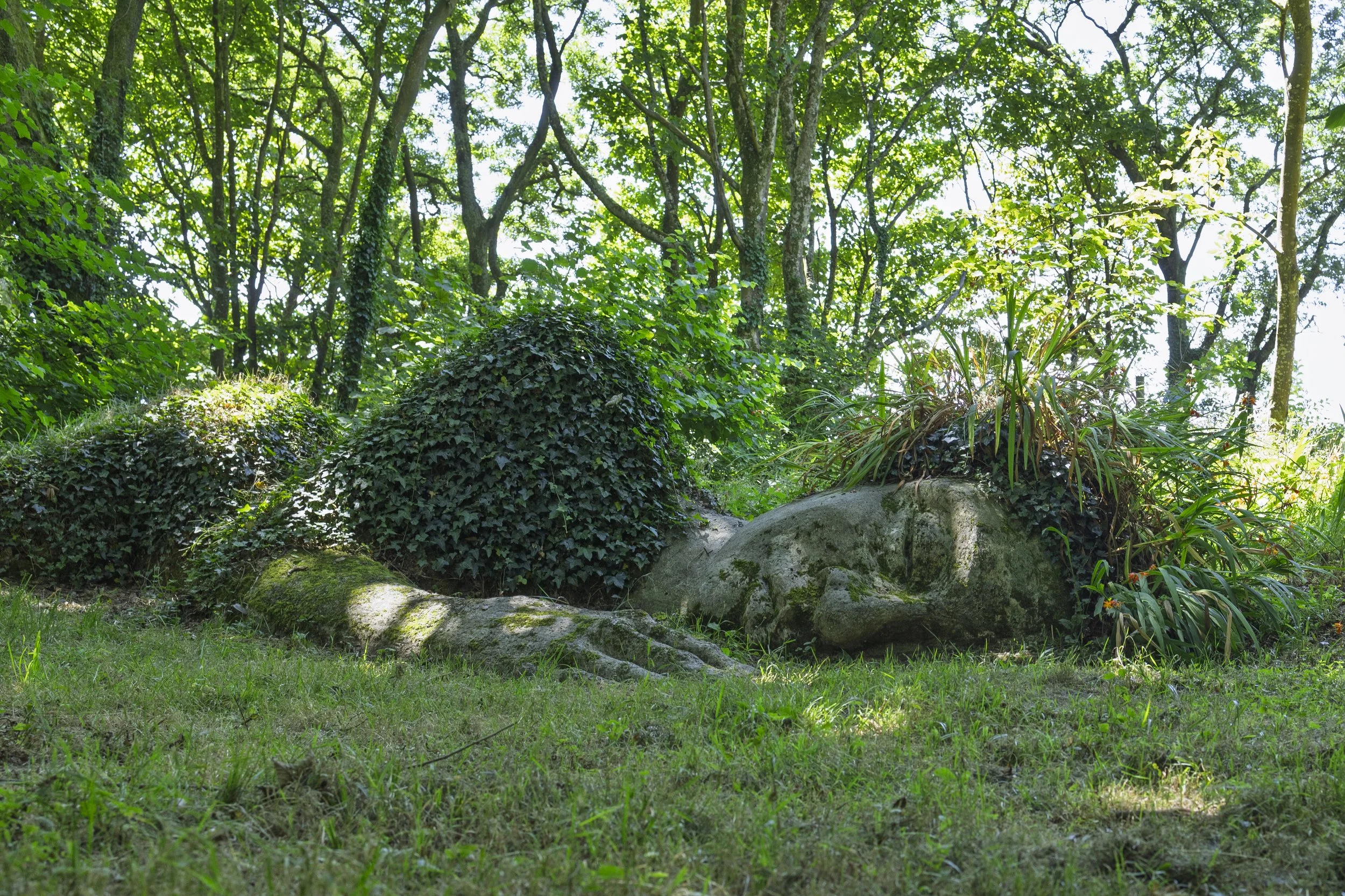 Sleeping Lady
