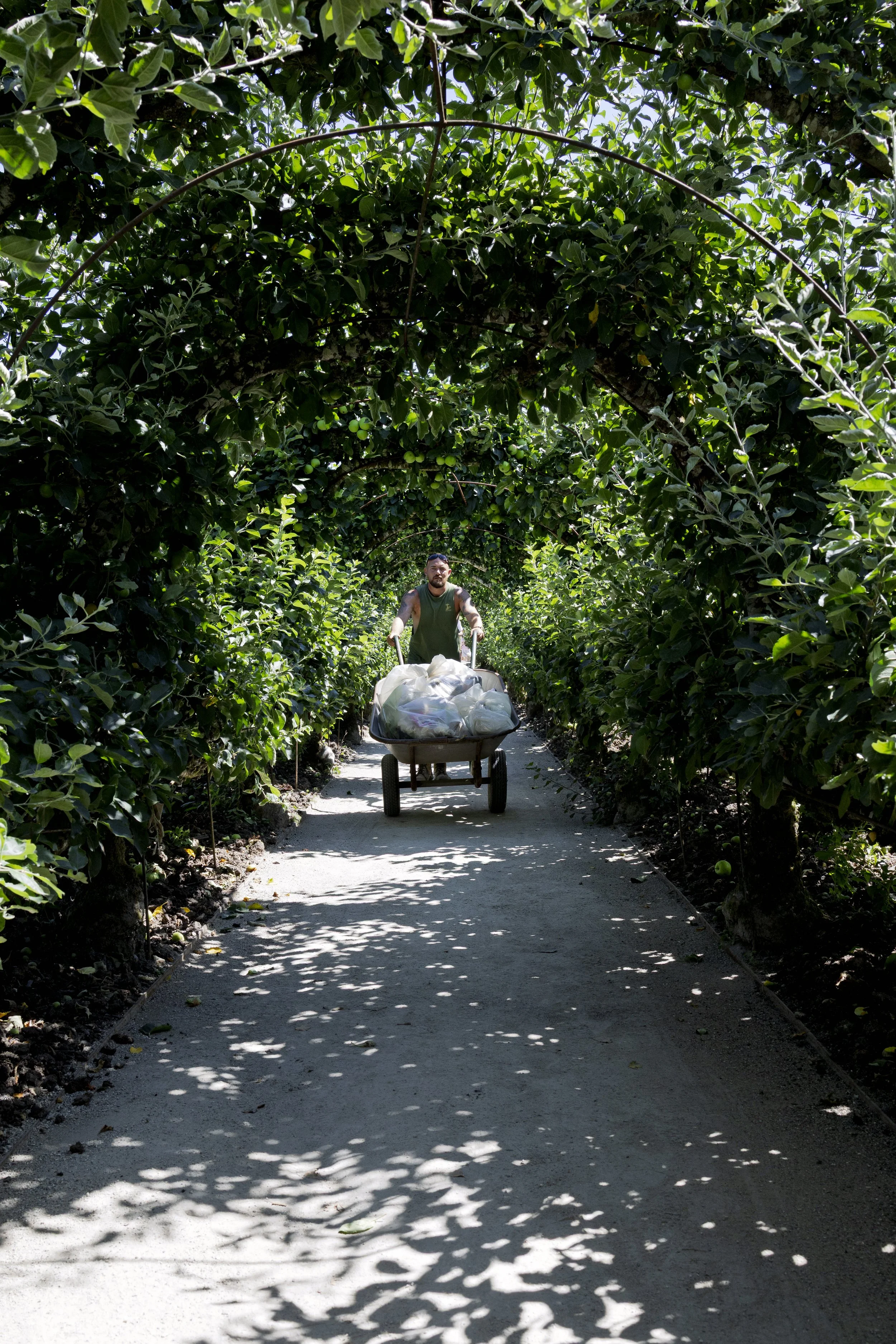 Heavy Wheelbarrow