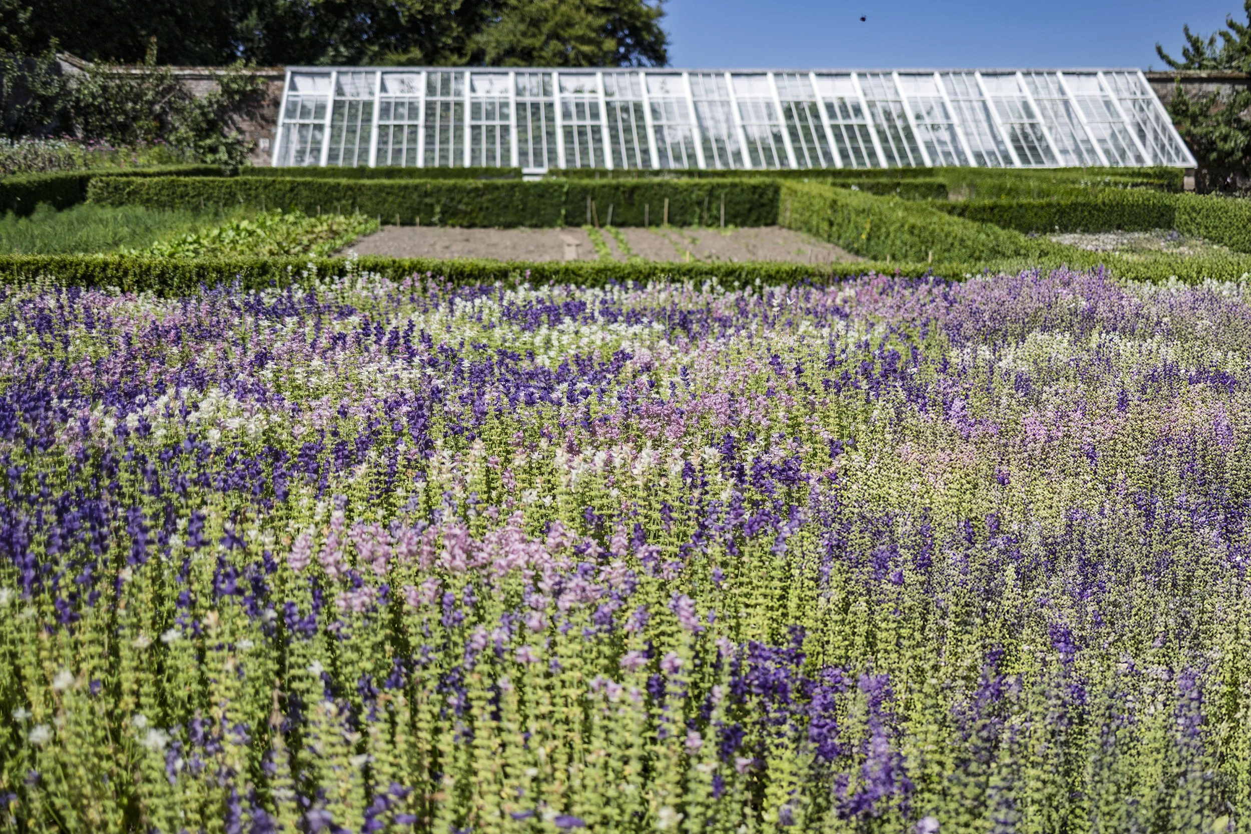 Glasshouse
