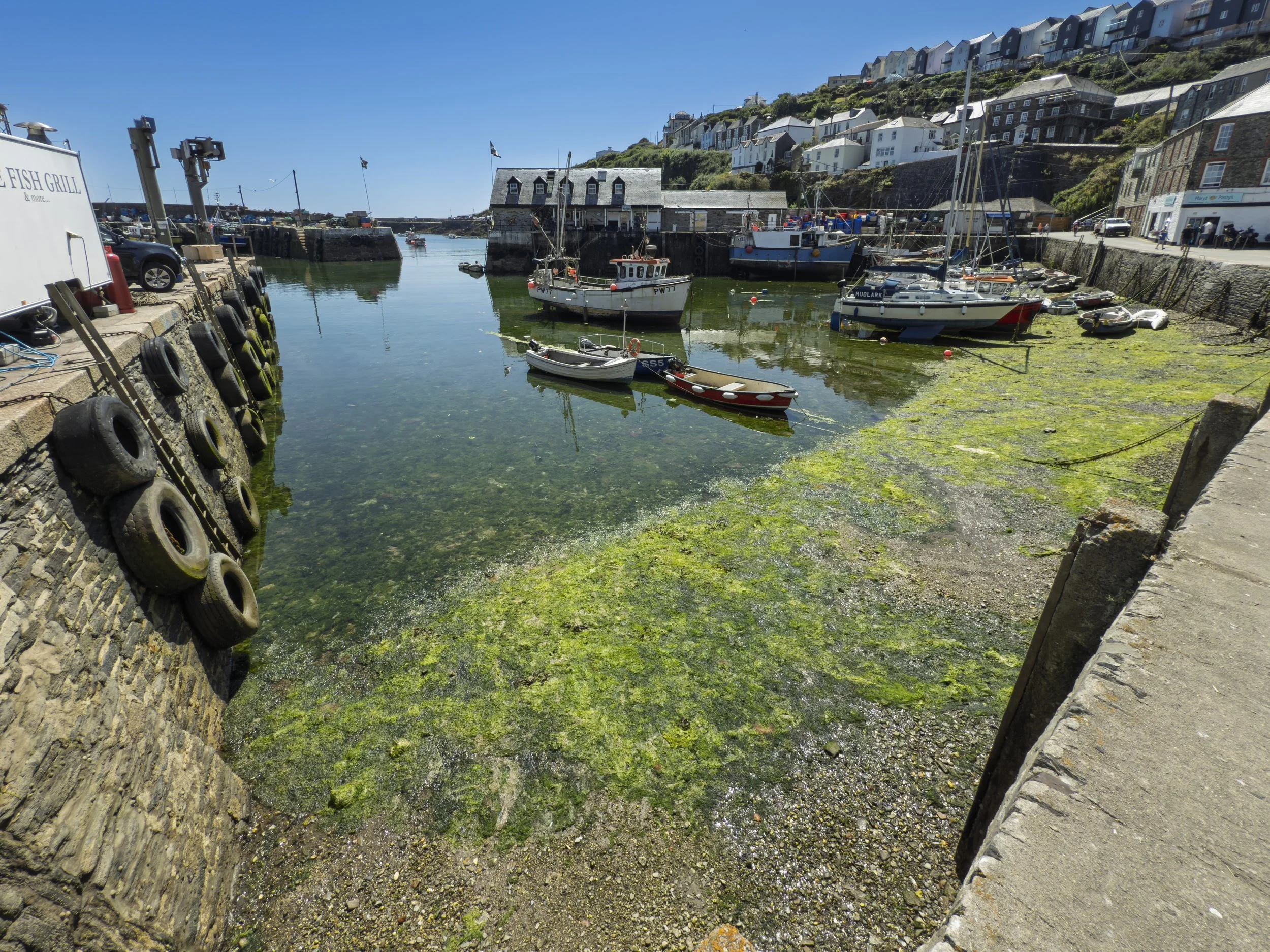 Low Tide at Mevagissey
