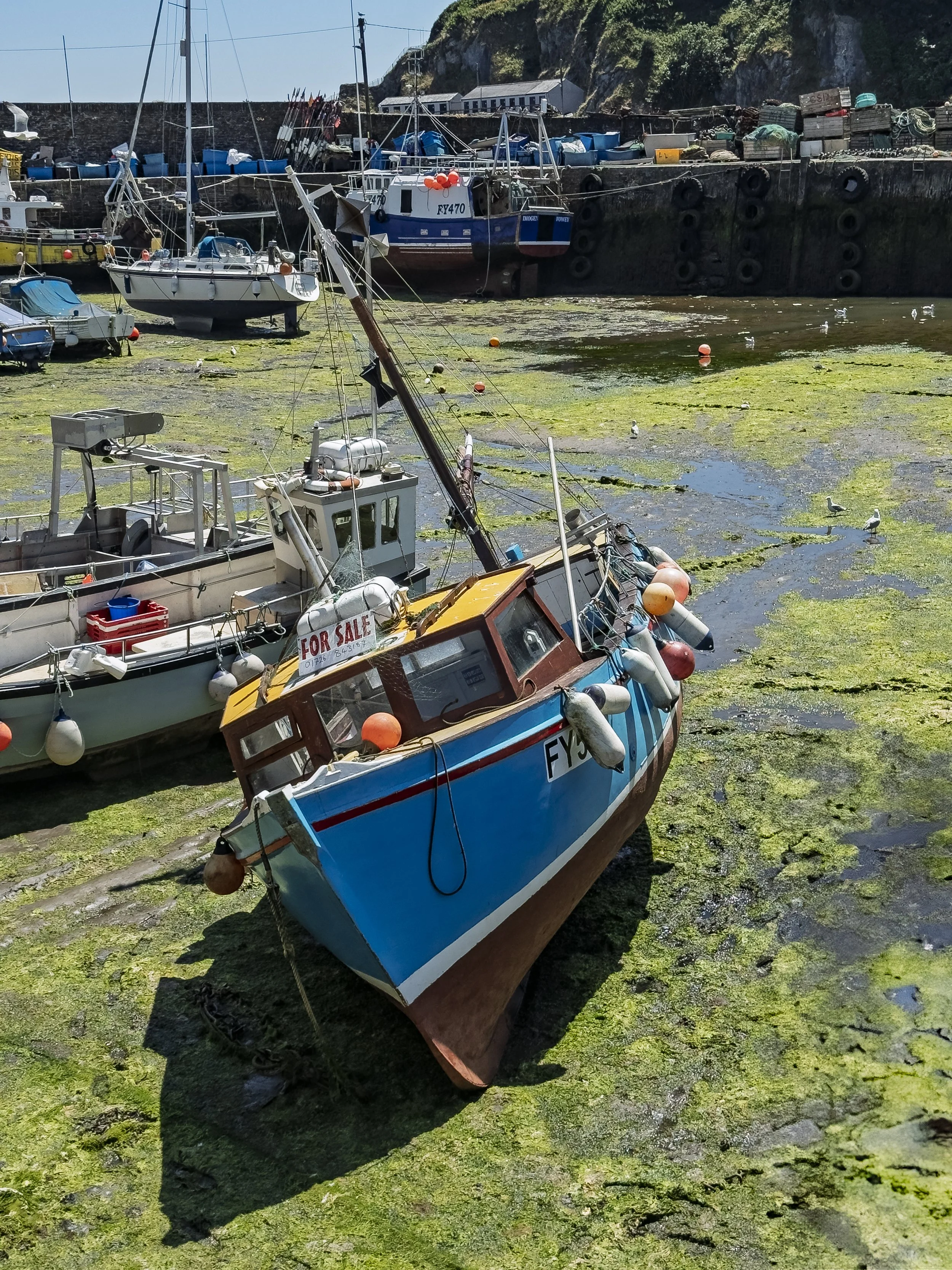 Boat For Sale