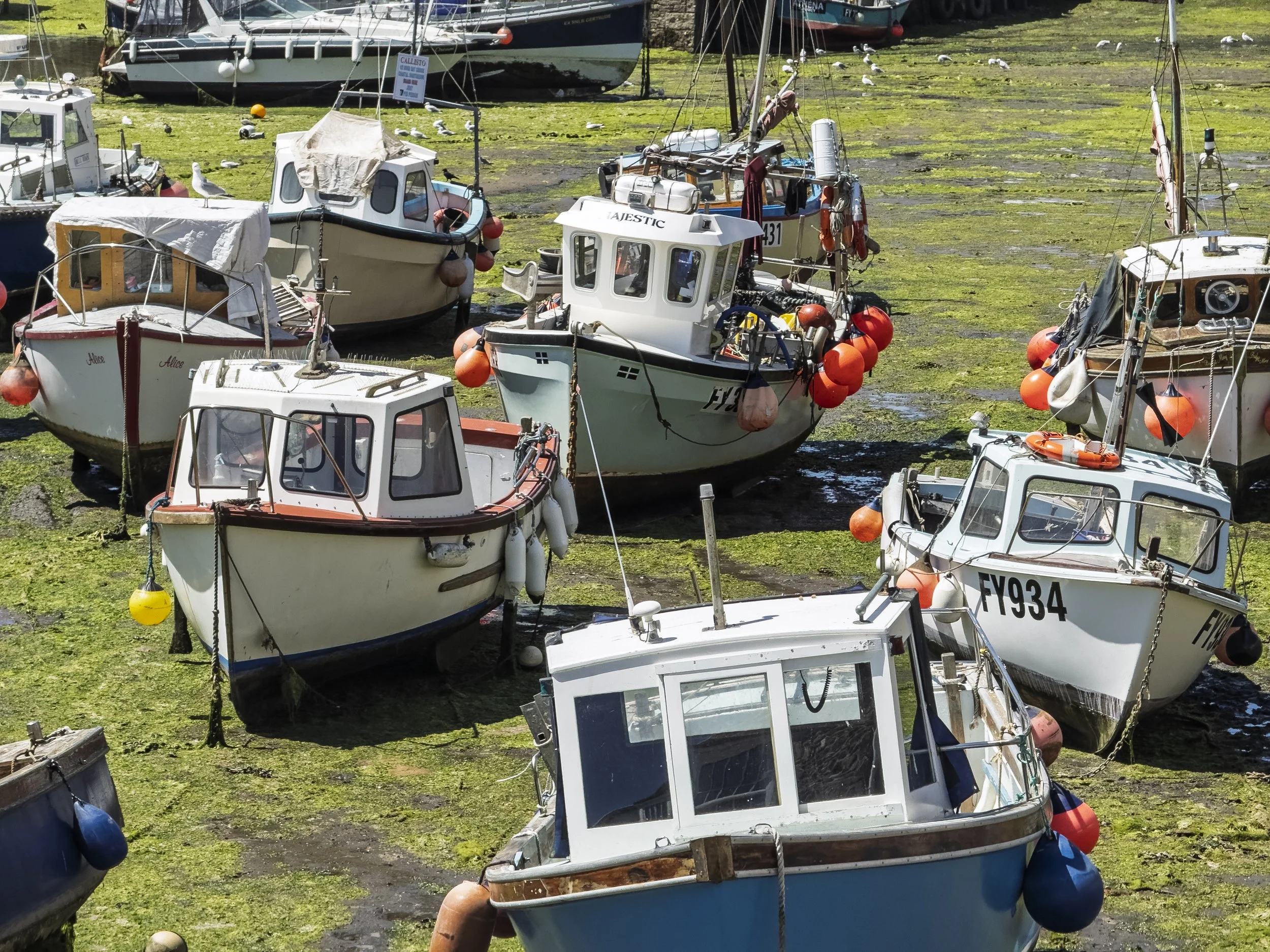 Lots of Boats