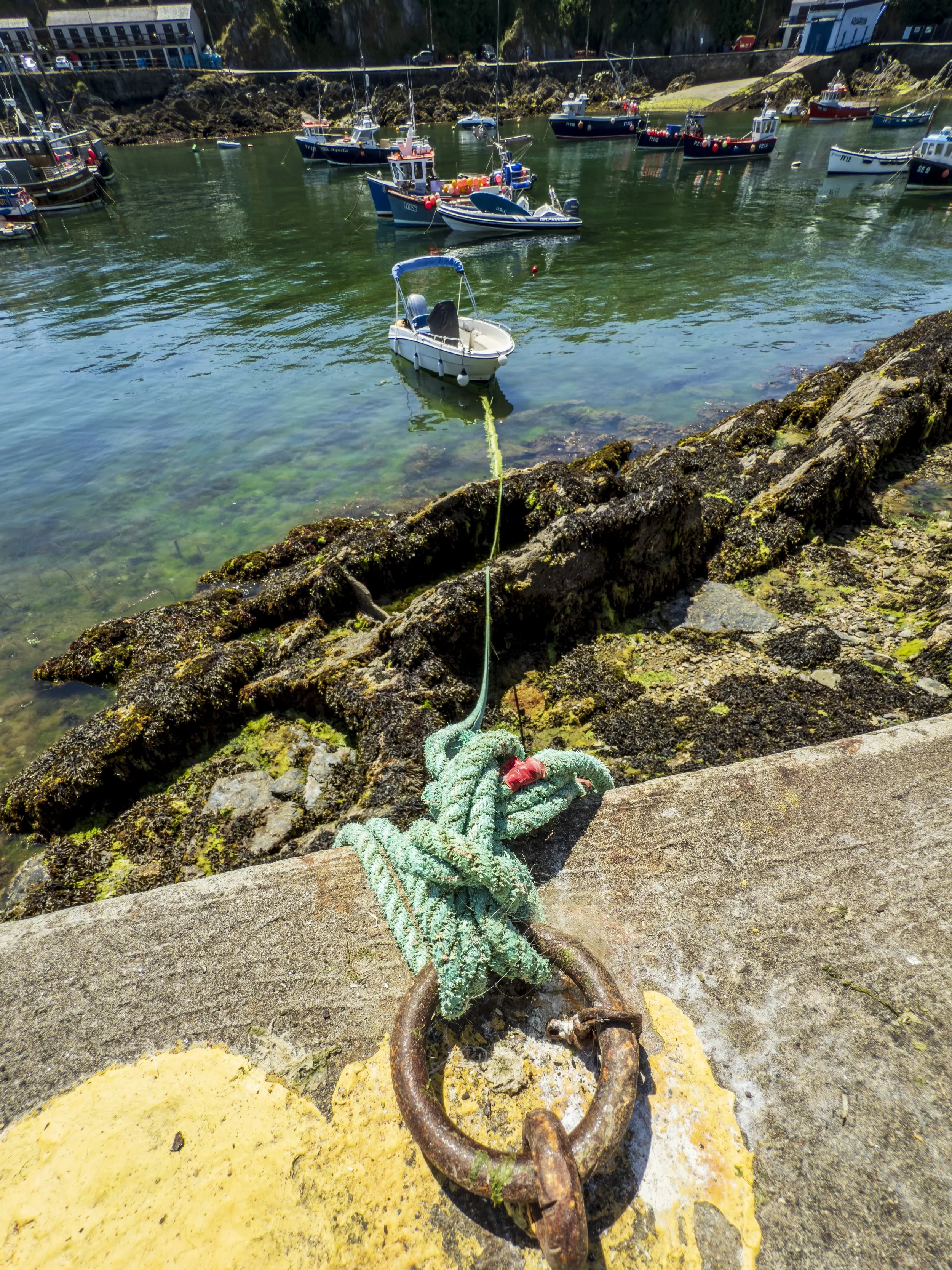 Green Rope