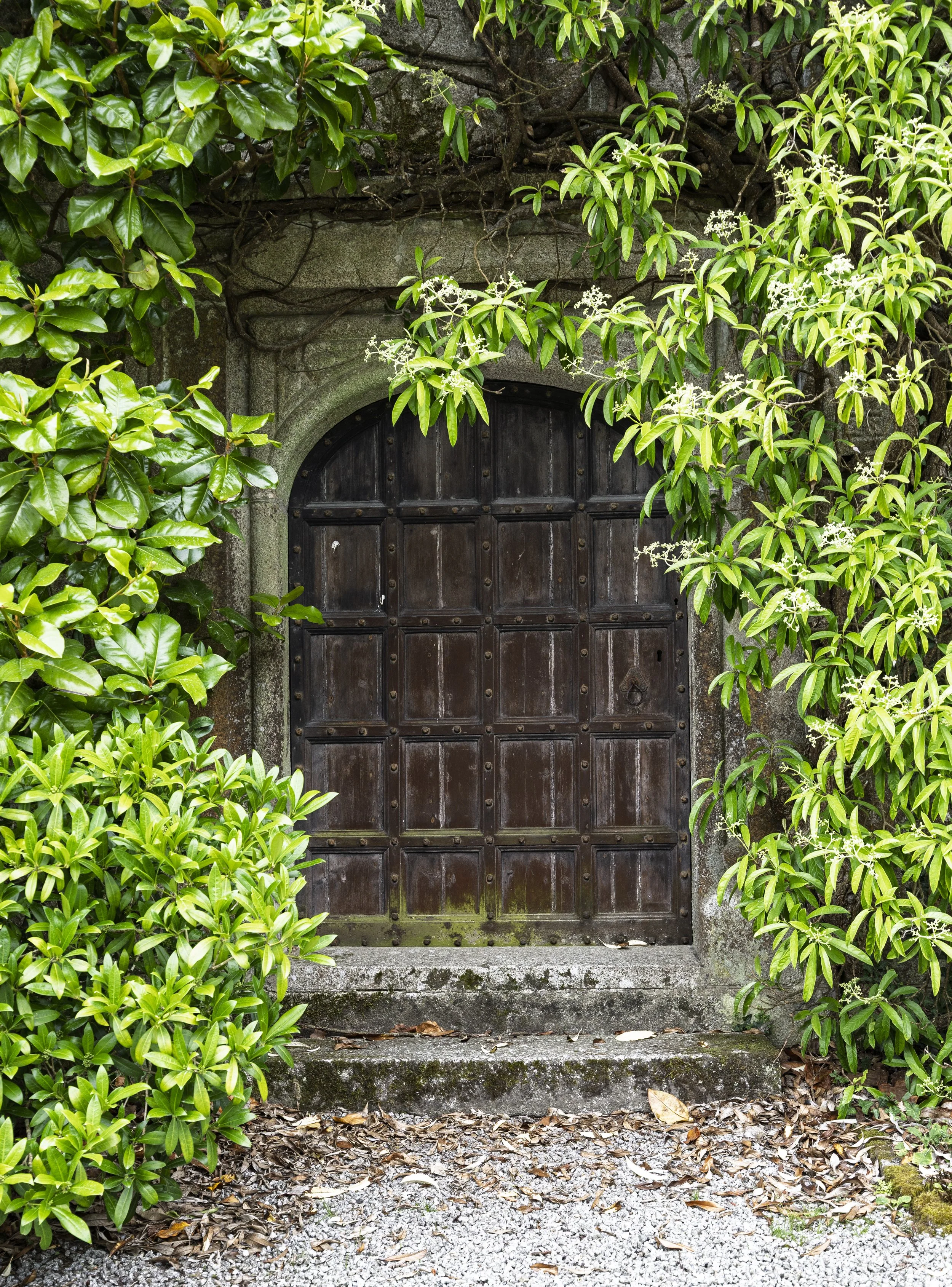 Door at Lanhydrock