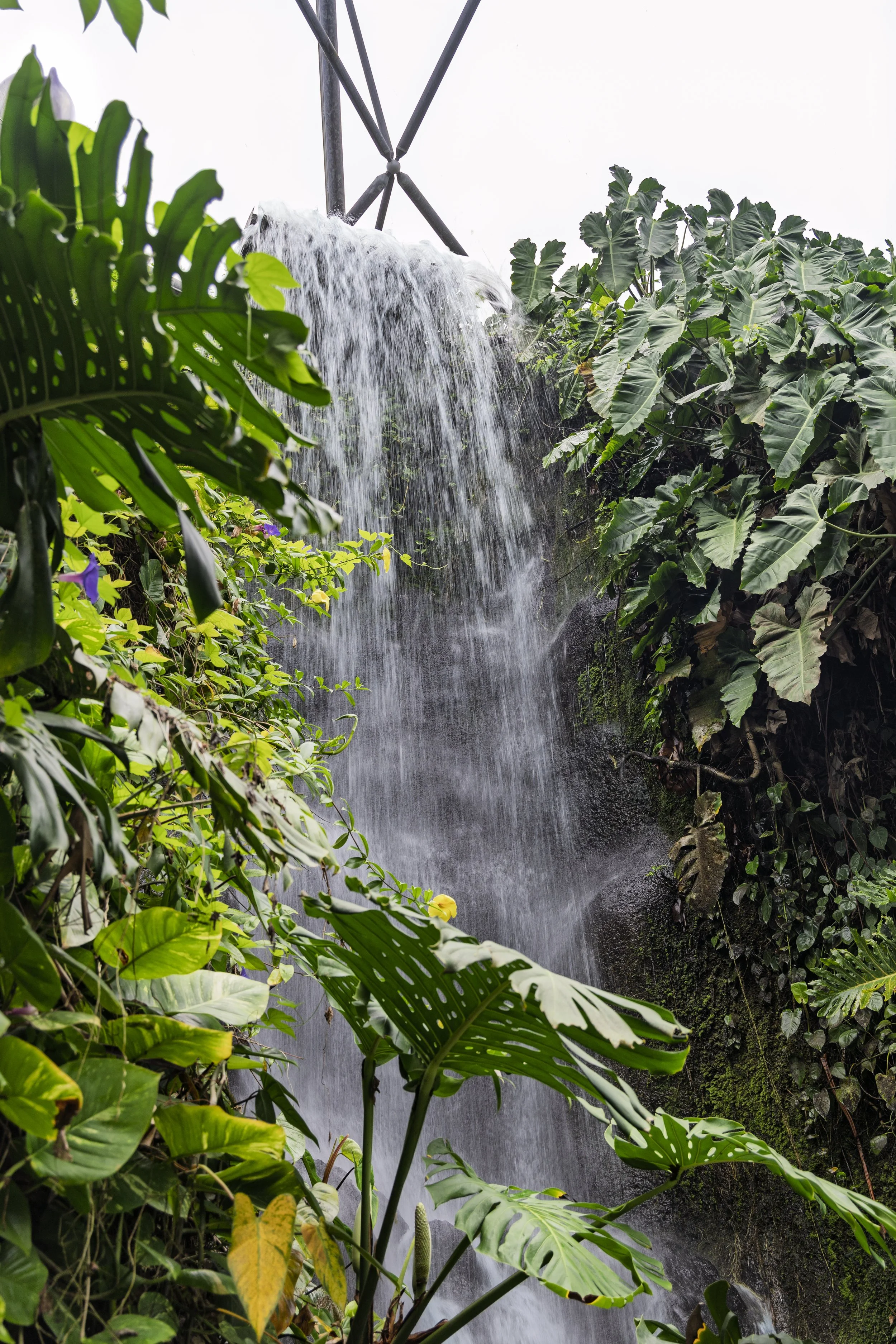 Waterfall in the Dome