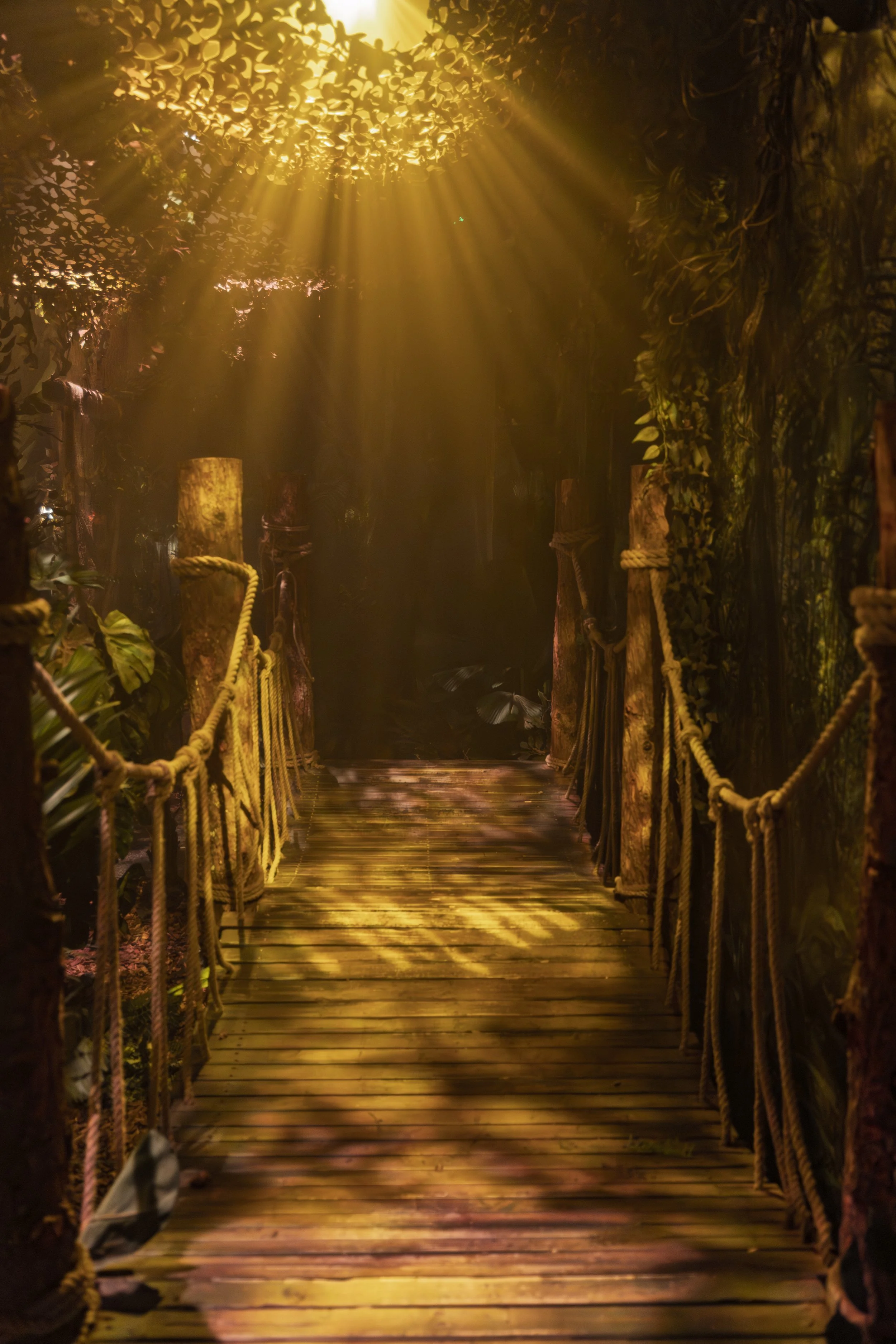 Rope Bridge at the Paddington Experience