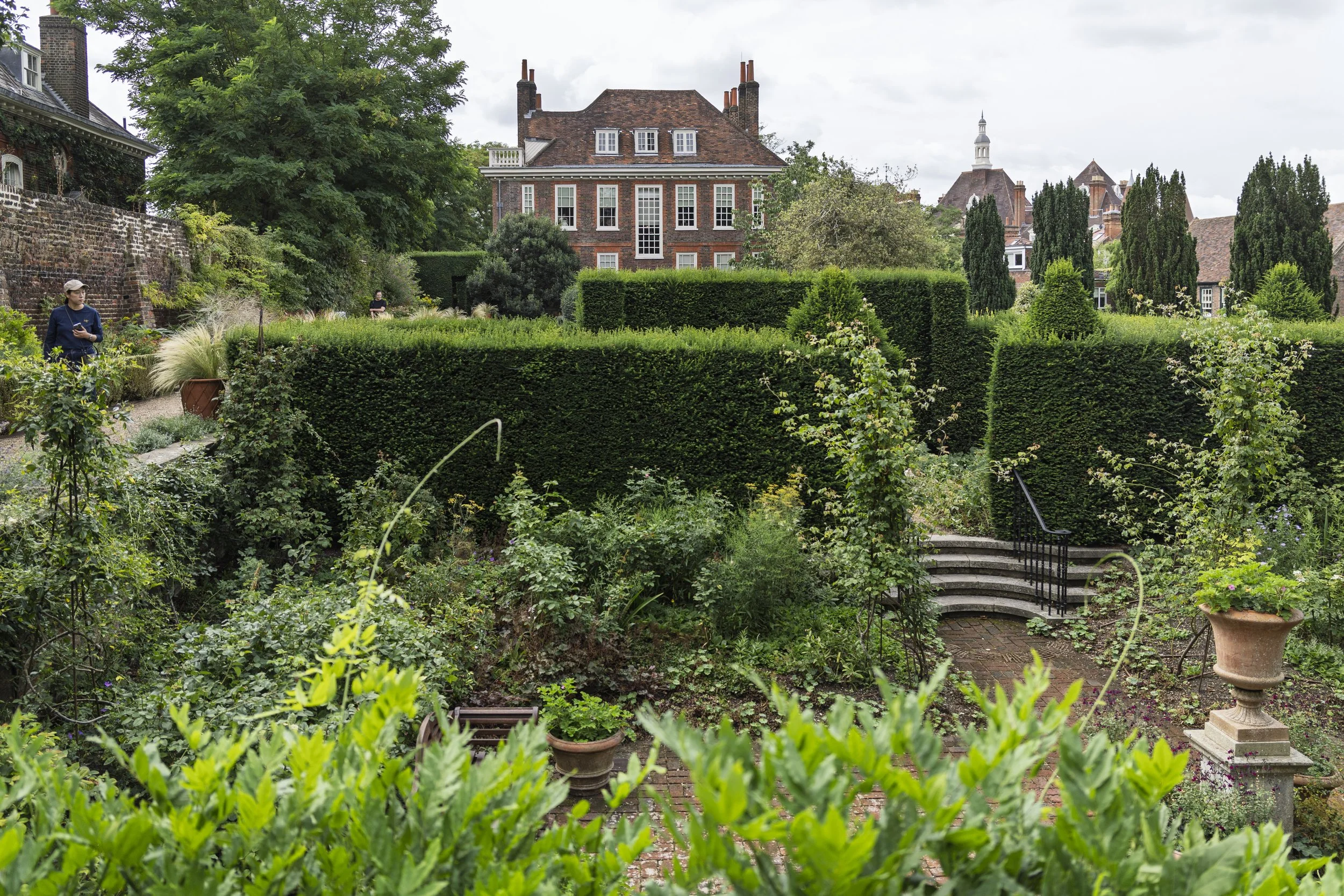 Fenton House Hedges