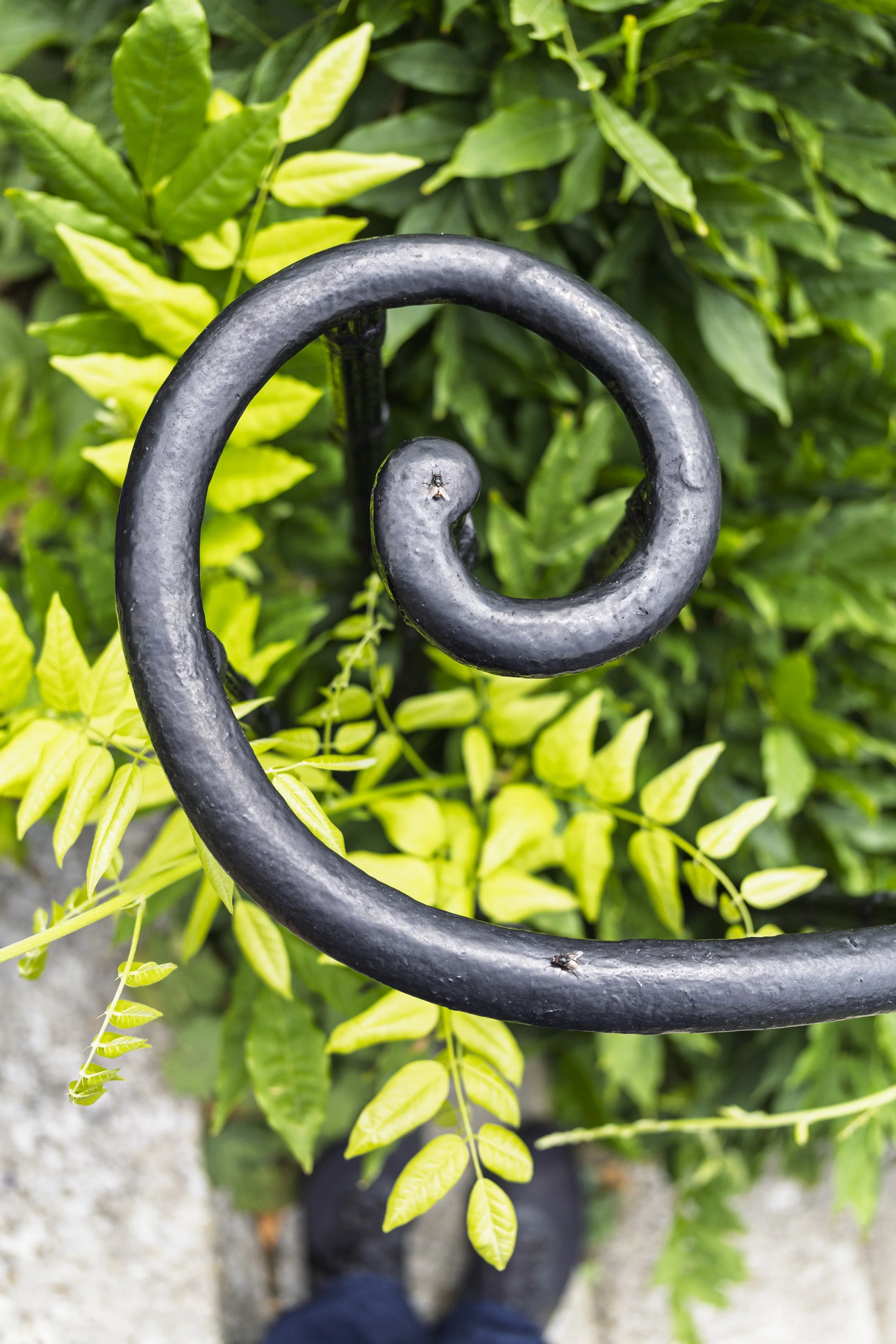 Fenton House Spiral
