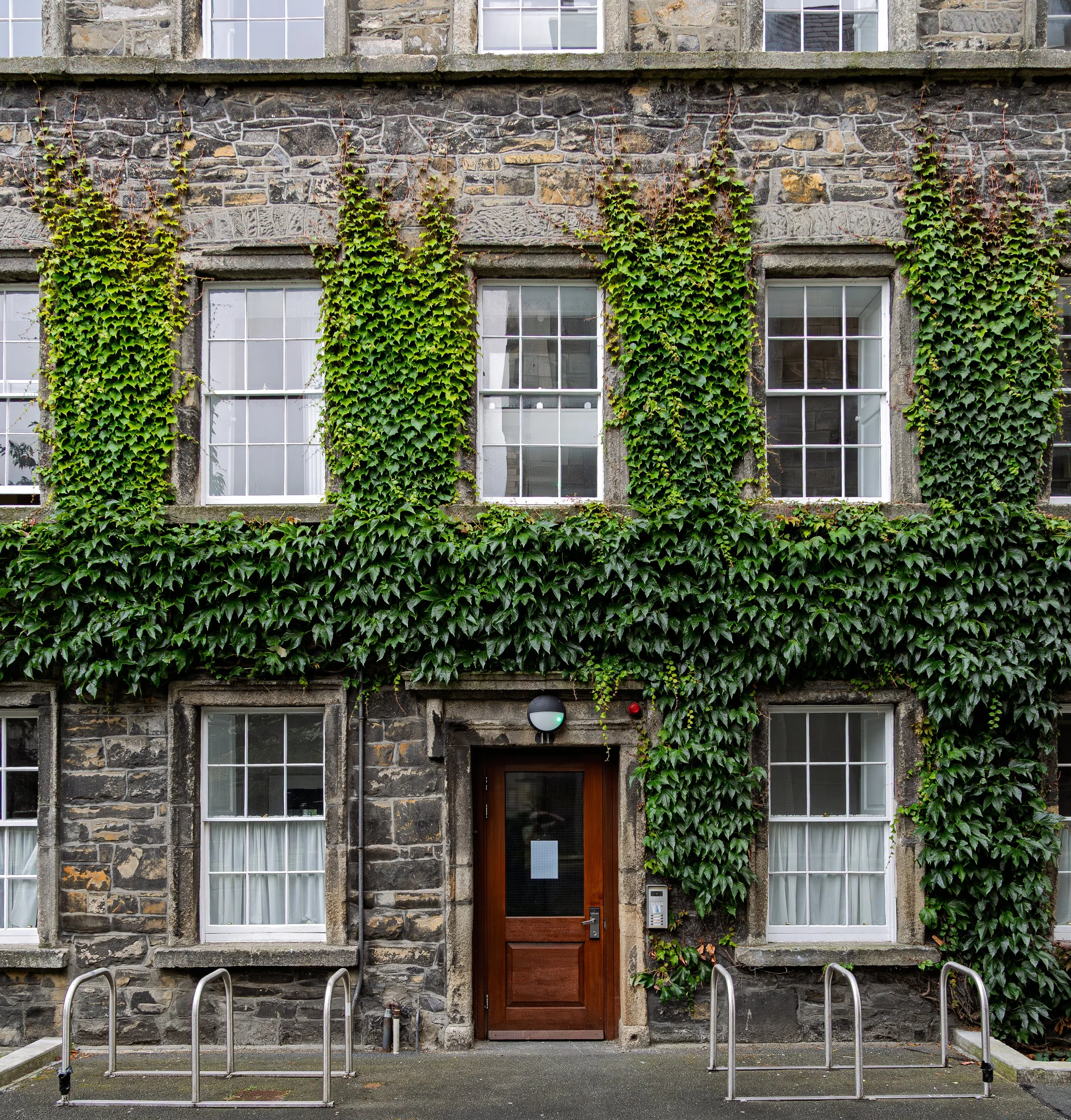 Ivy Clad Building