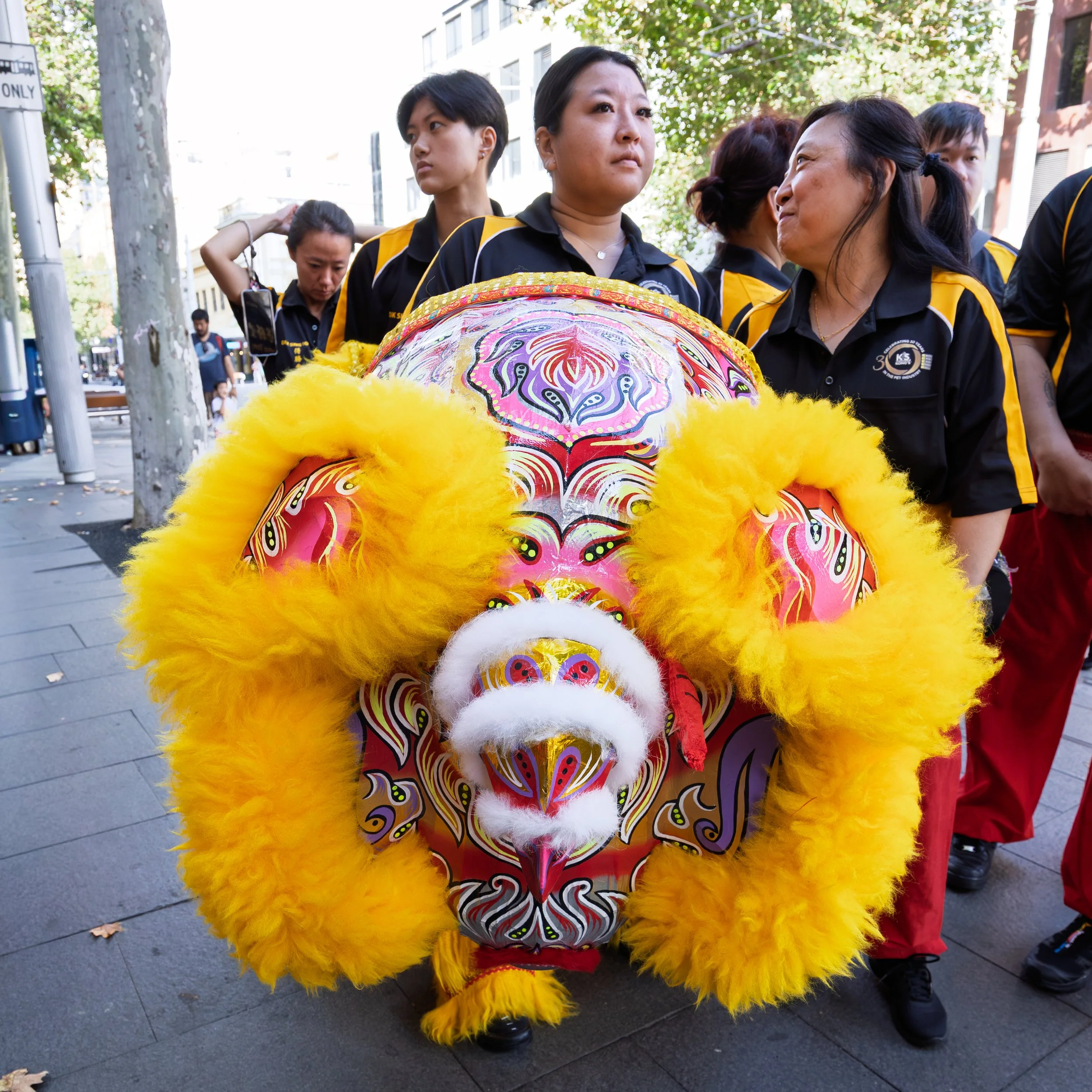 Dragon in Chinatown