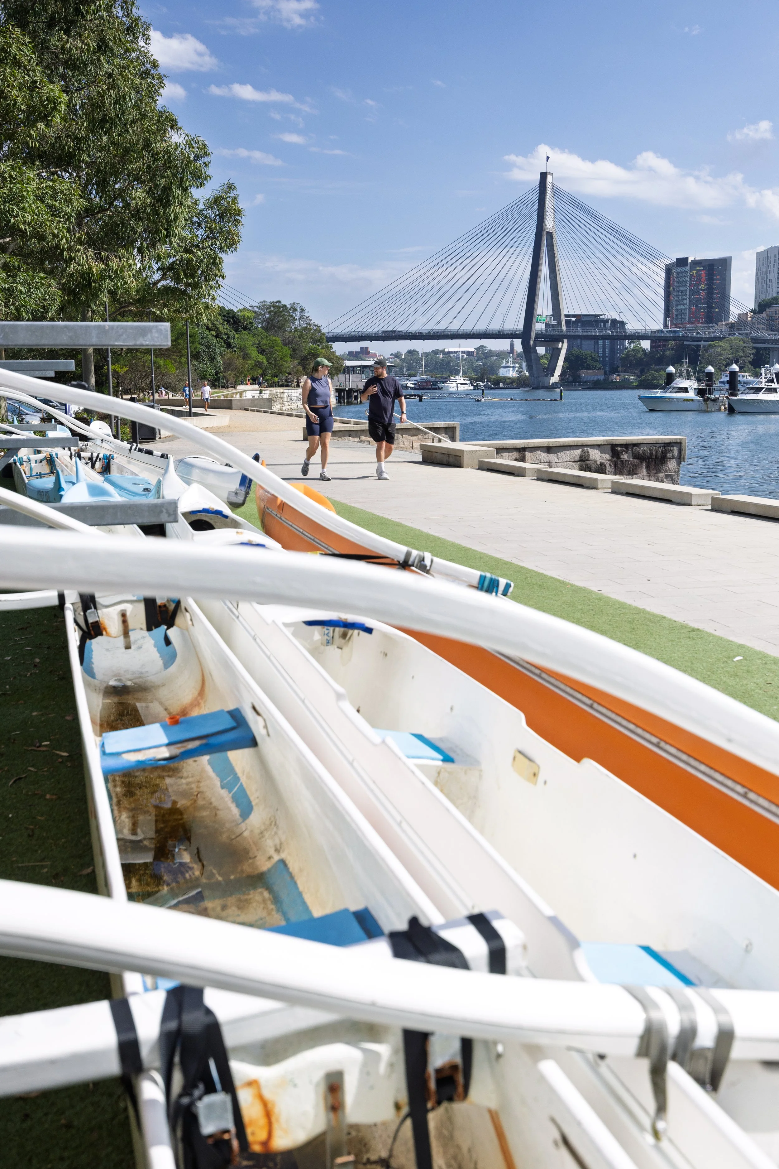 Anzac Bridge and Outrigger
