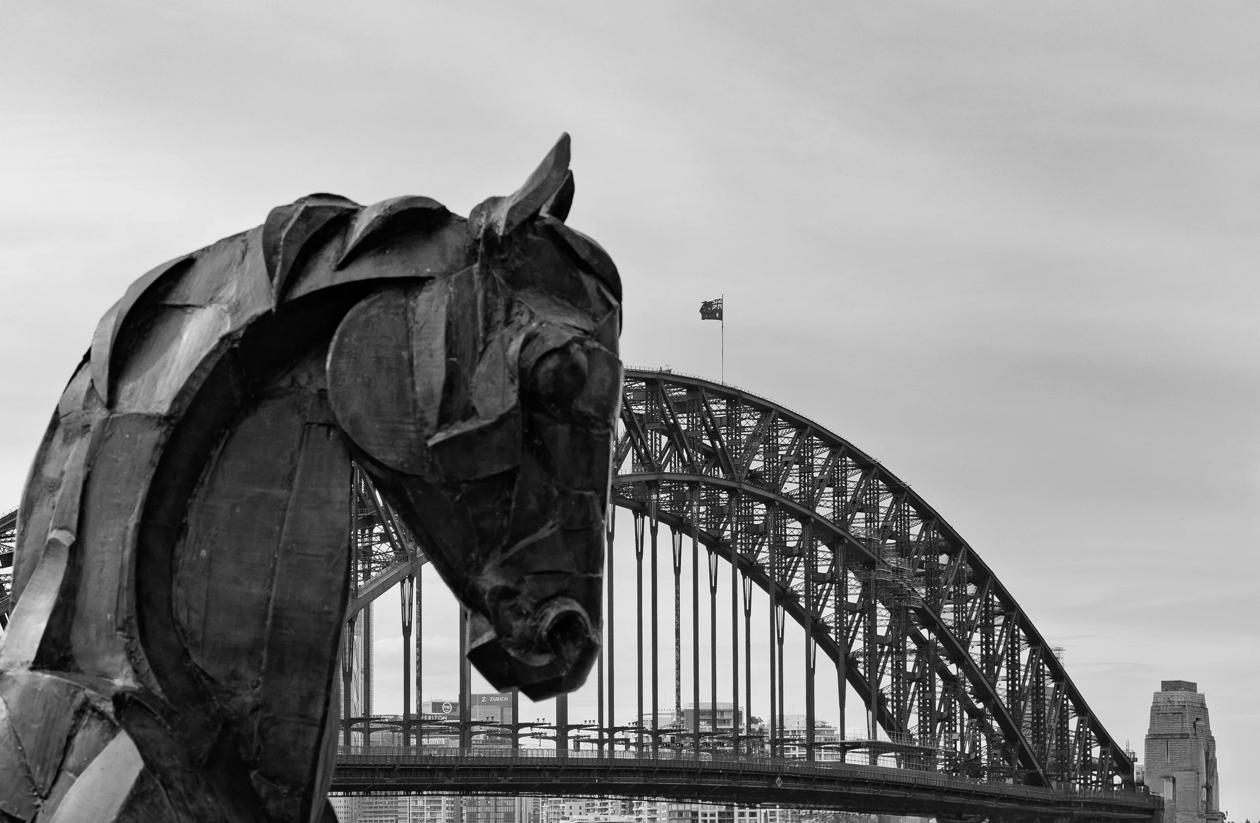 Celebrity Edge Horse and Bridge