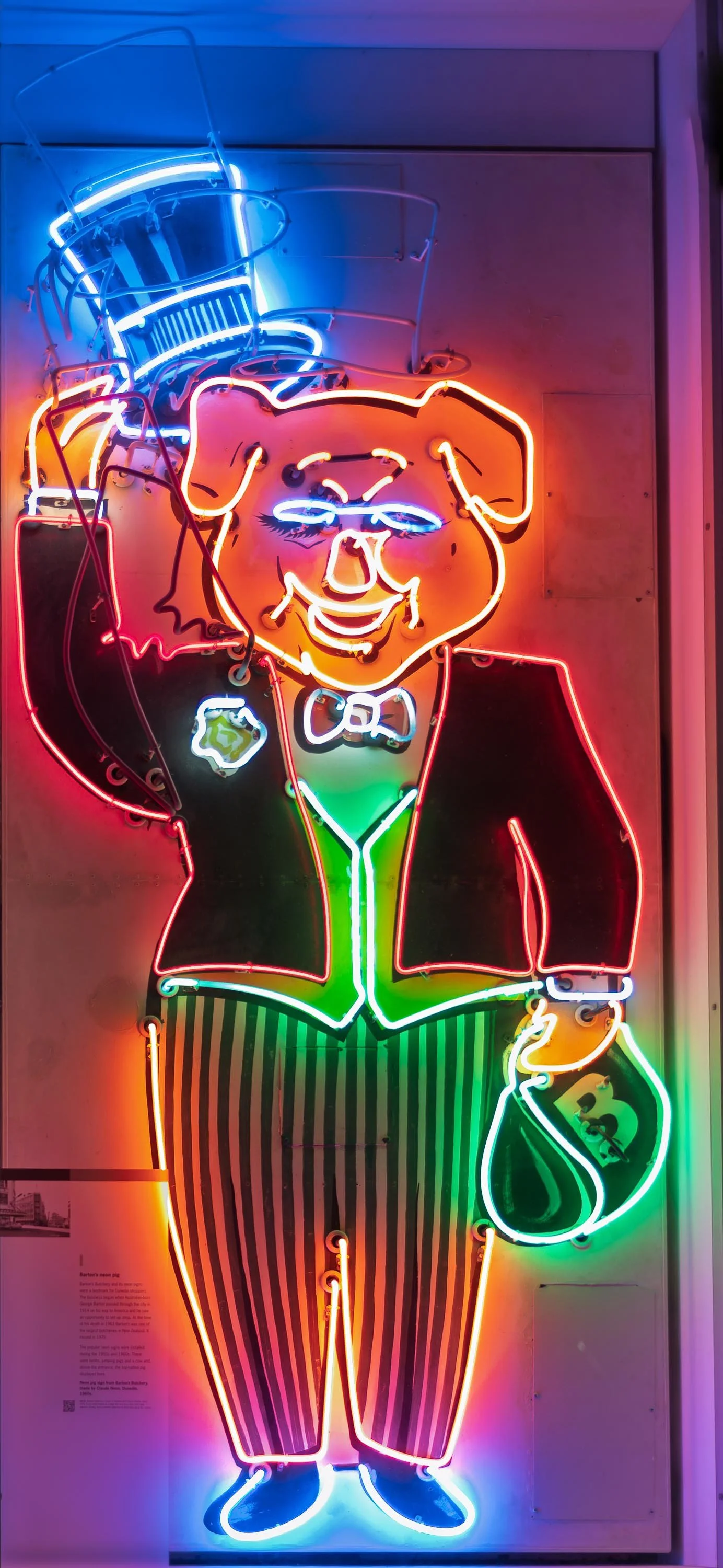 Neon Lights in Toitu Otago Museum