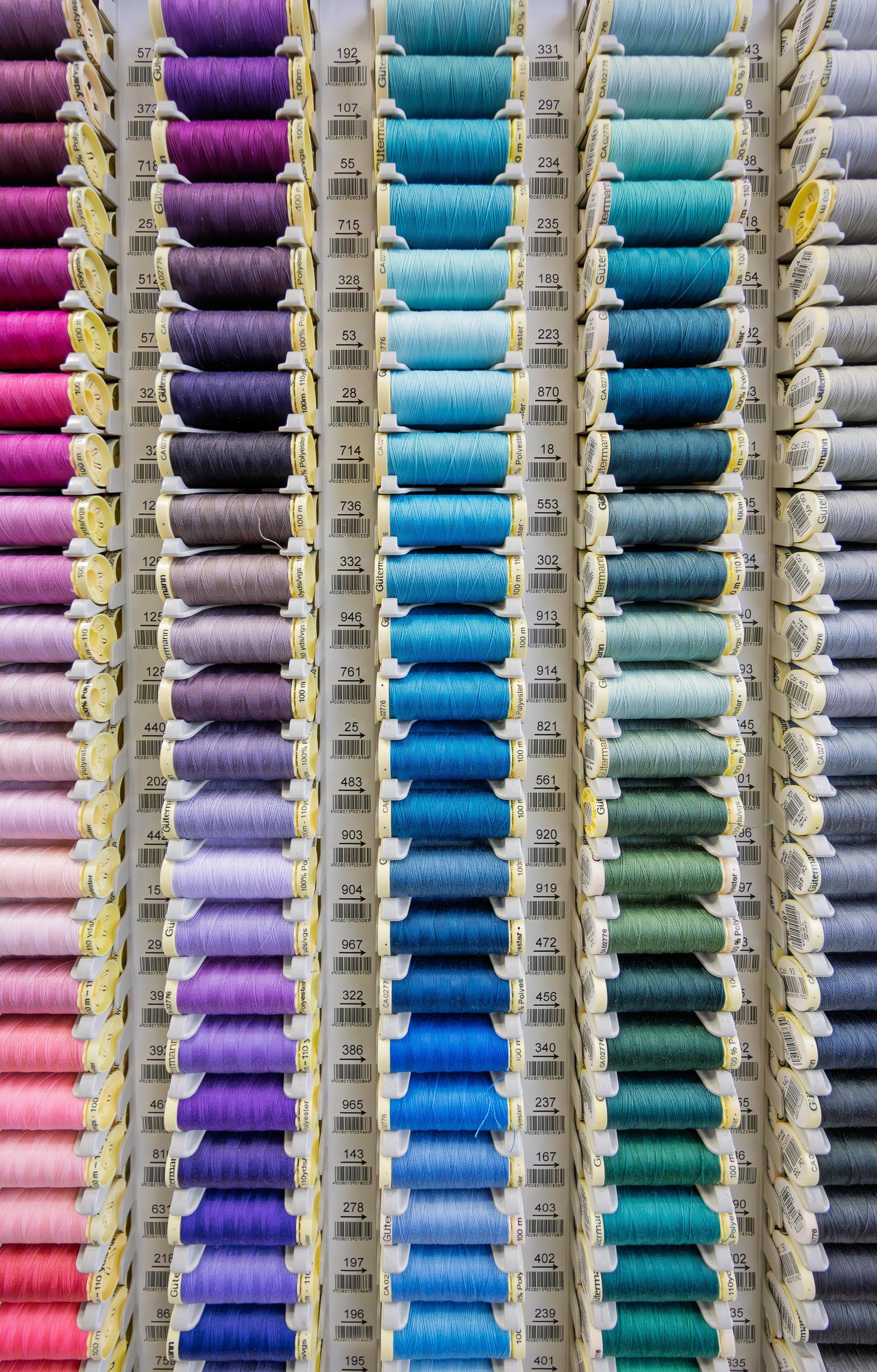 In a Craft Shop in Dunedin