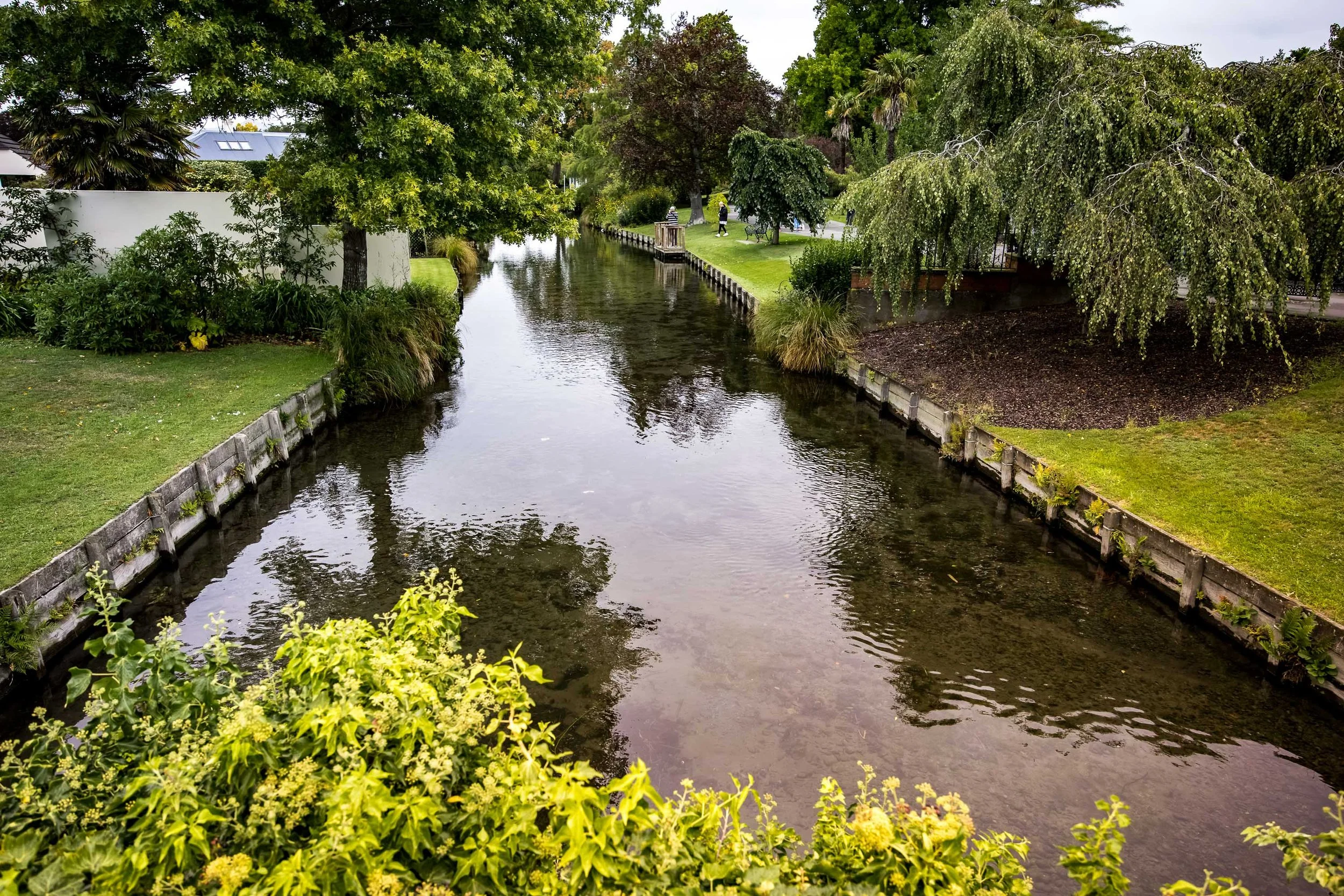 The River at Mona Vale 🕸️