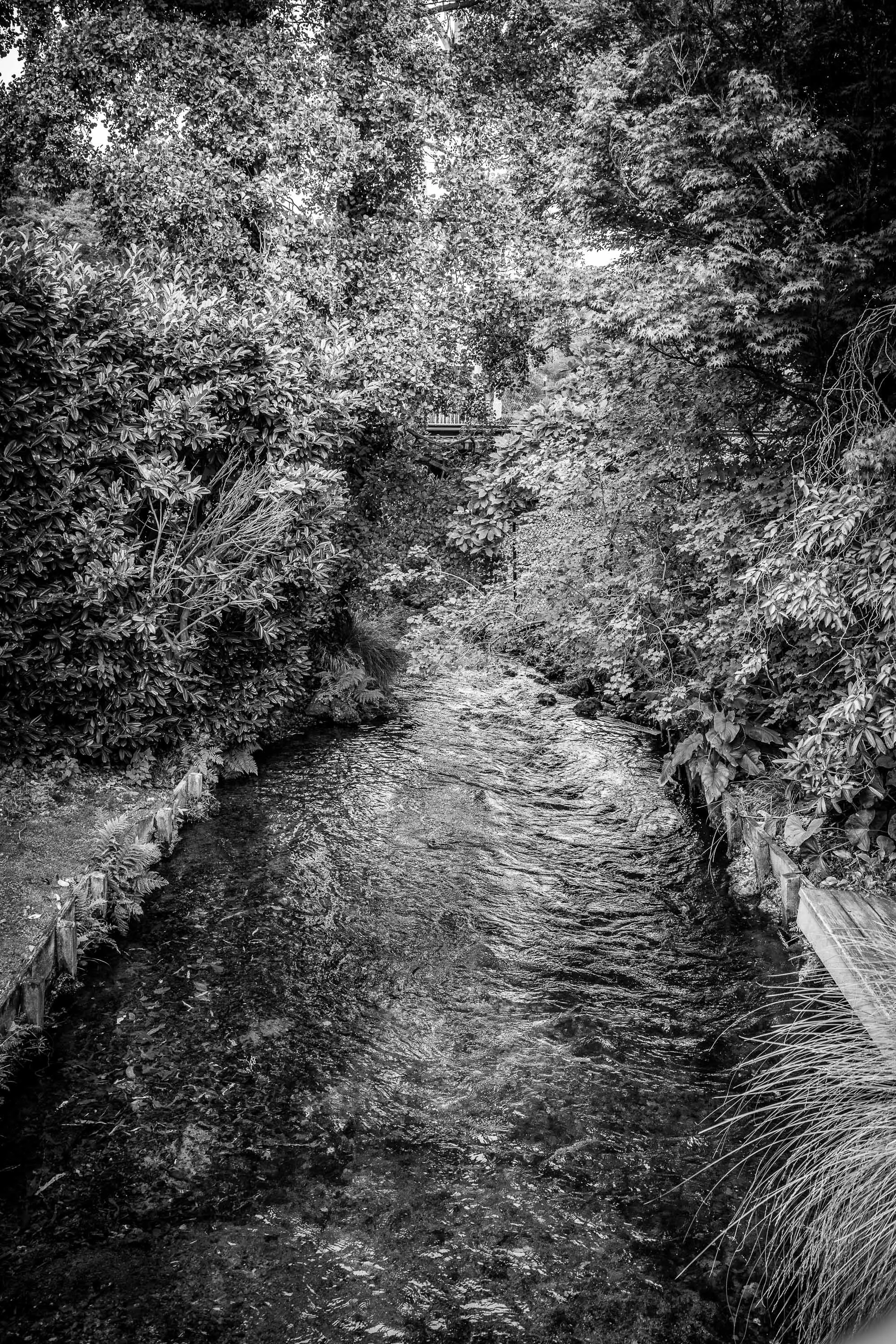 Black &amp; White Stream at Mona Vale