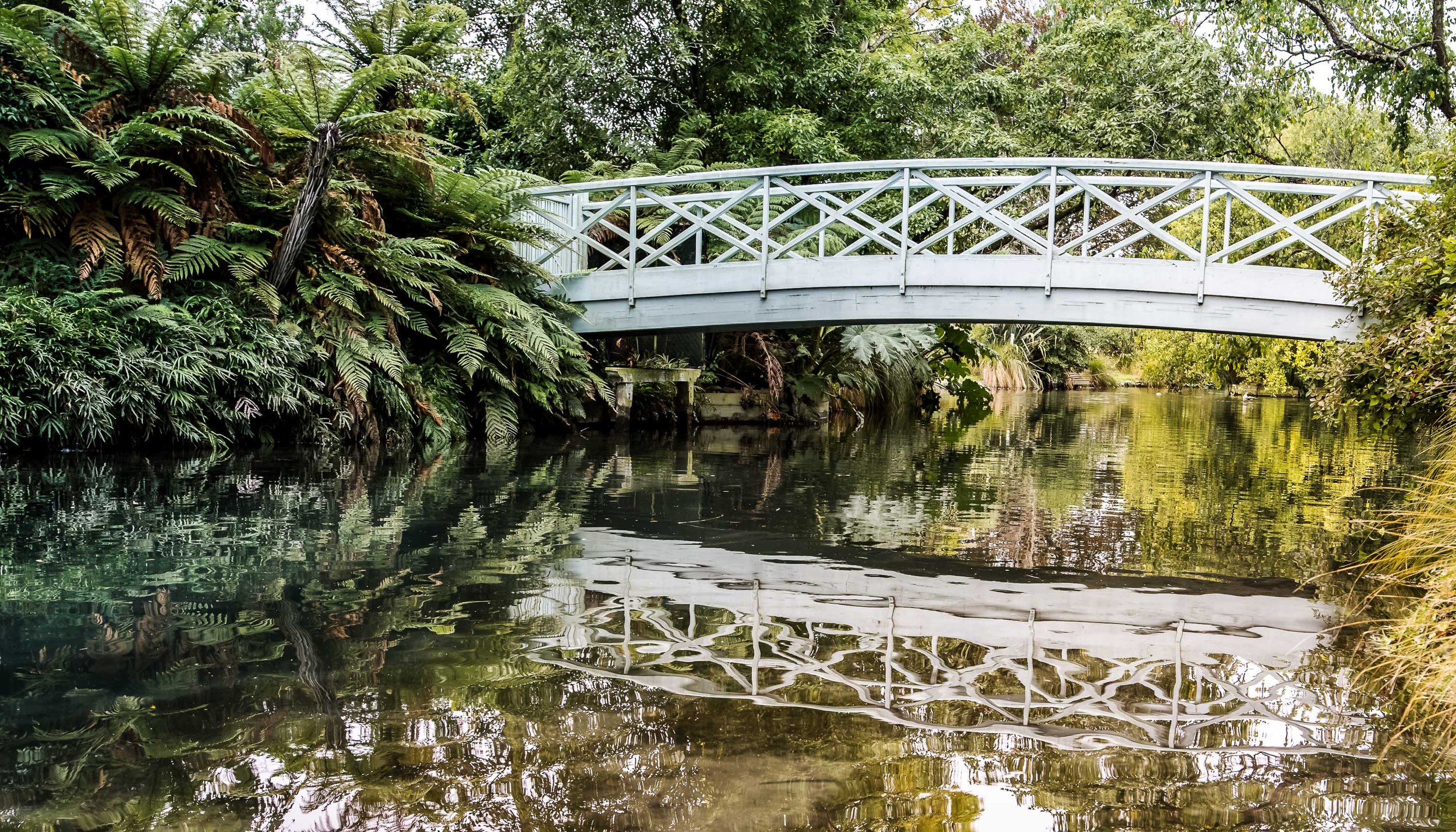 Reflected Bridge in Mona Vale