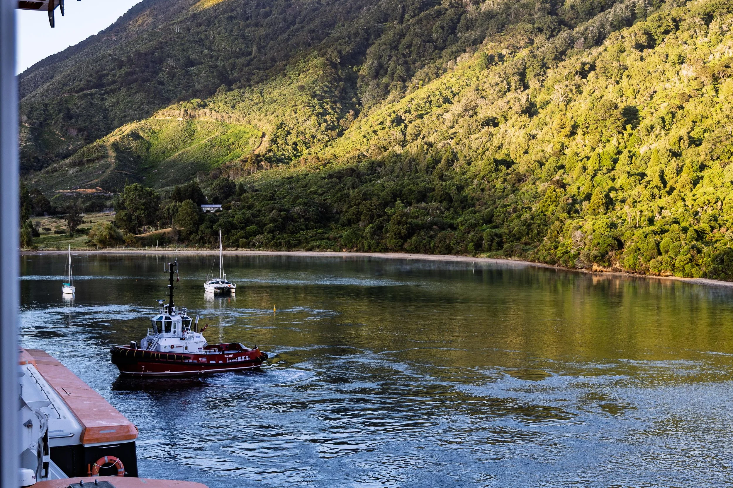 Morning Boat Activity