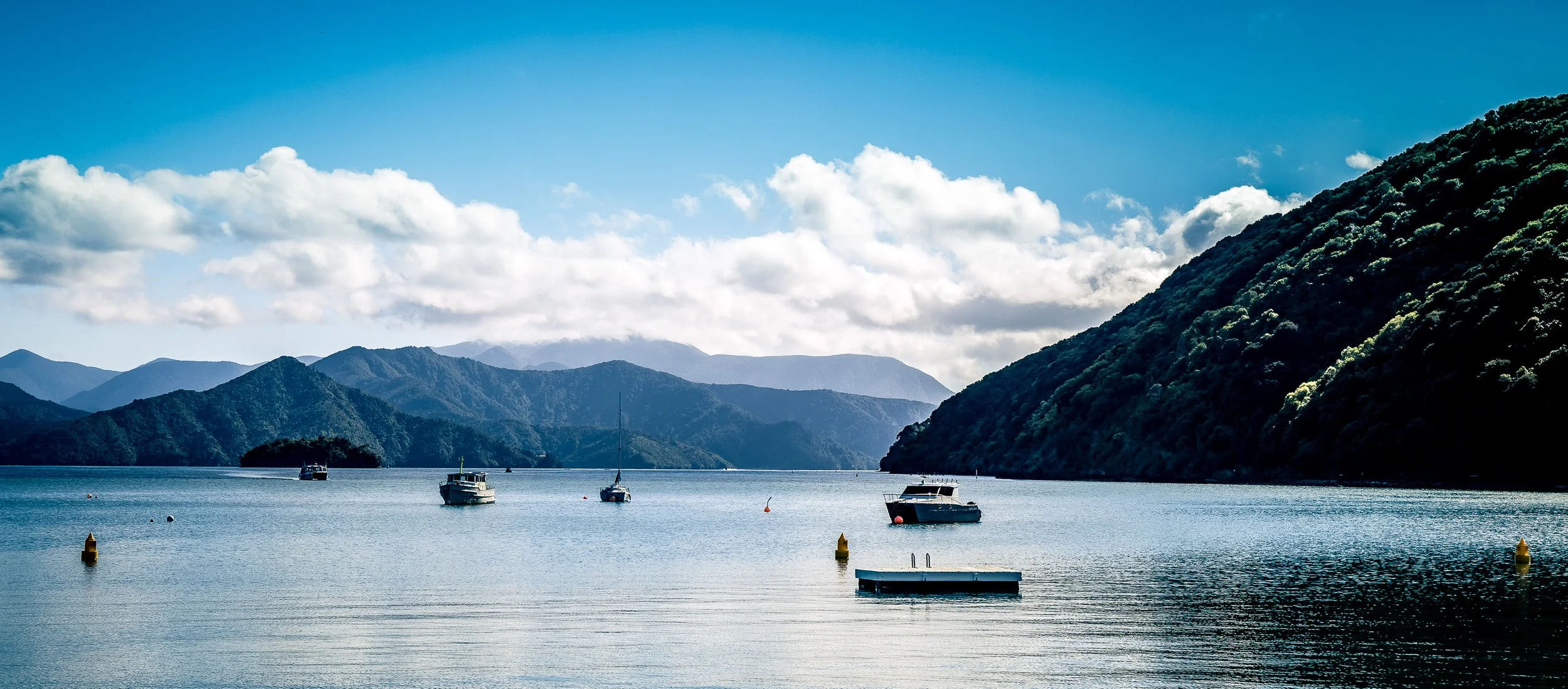 Picton Panorama