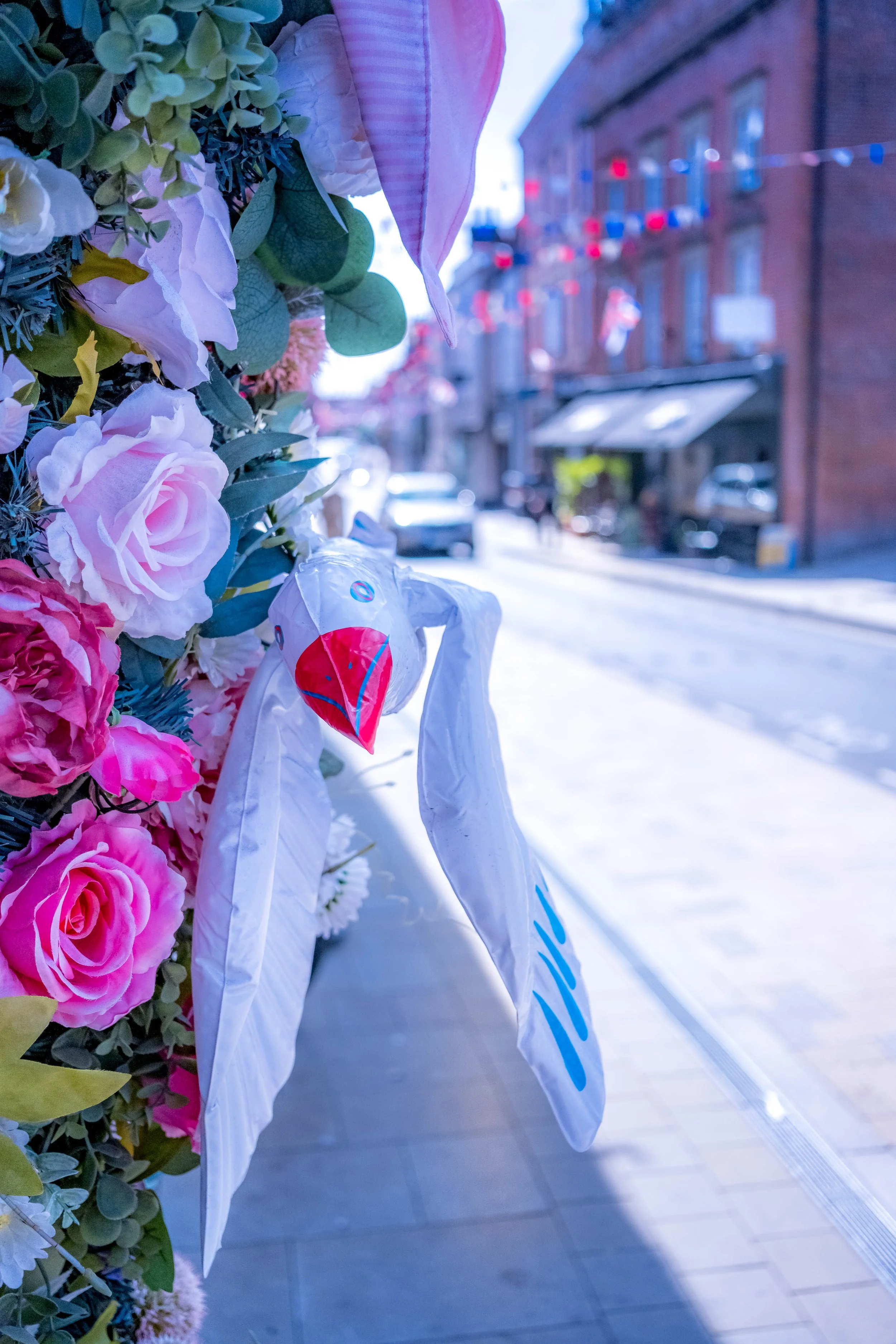 Bird and Roses in Ashbourne