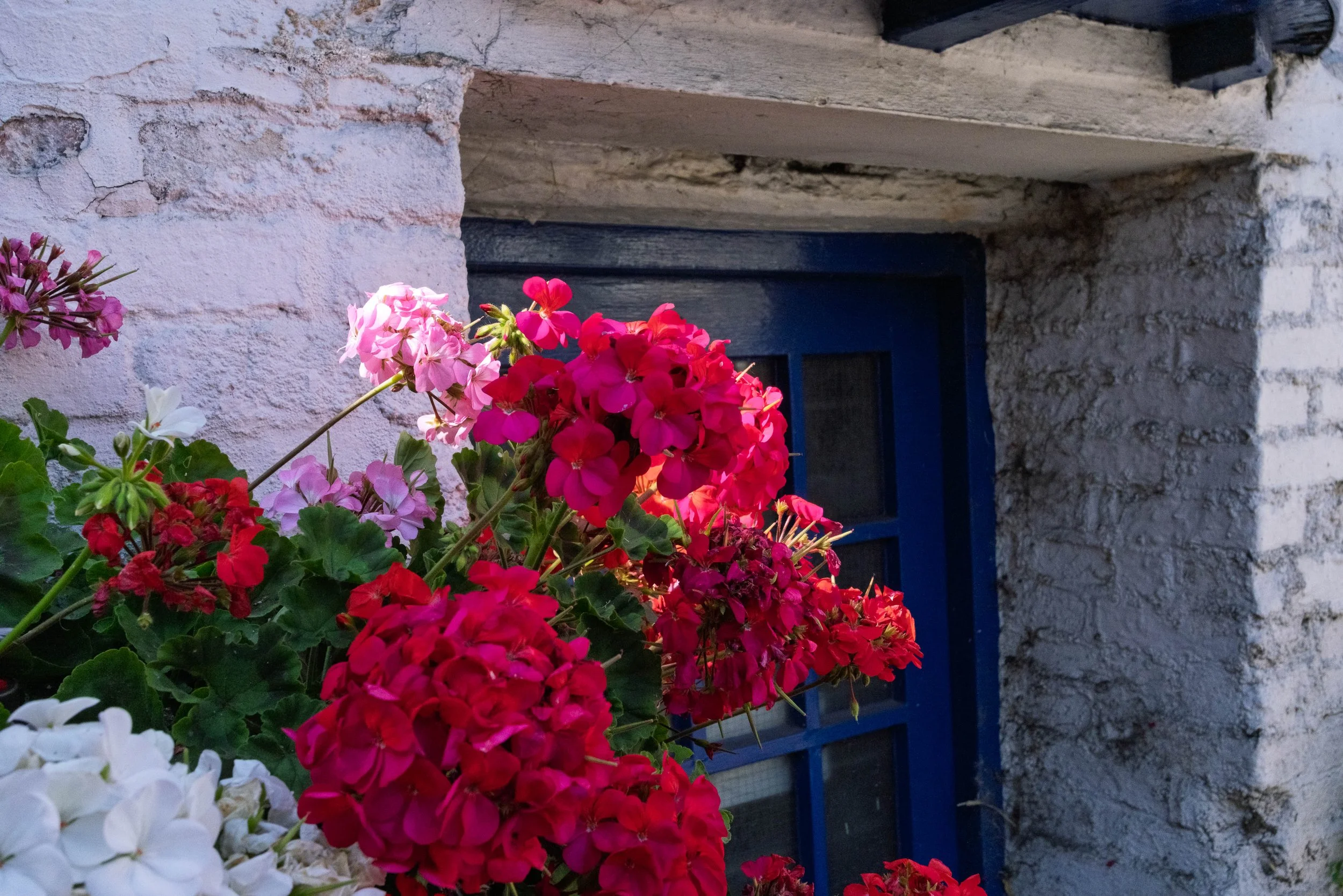Flowers in a Doorway