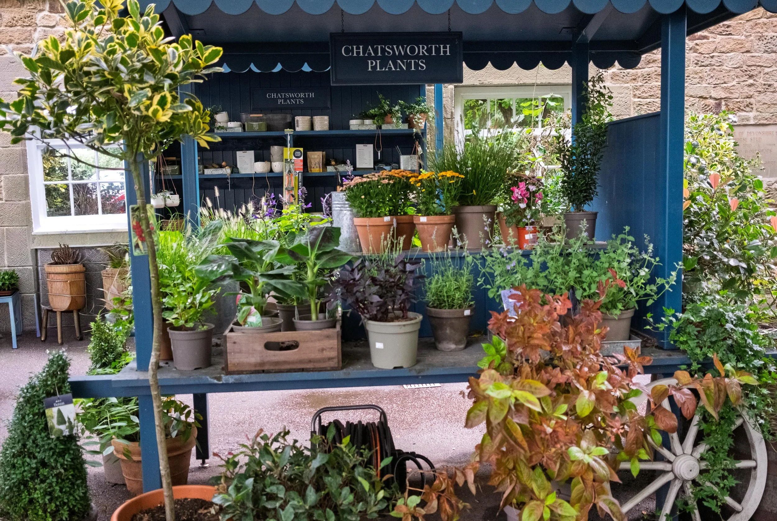 Plant Stall