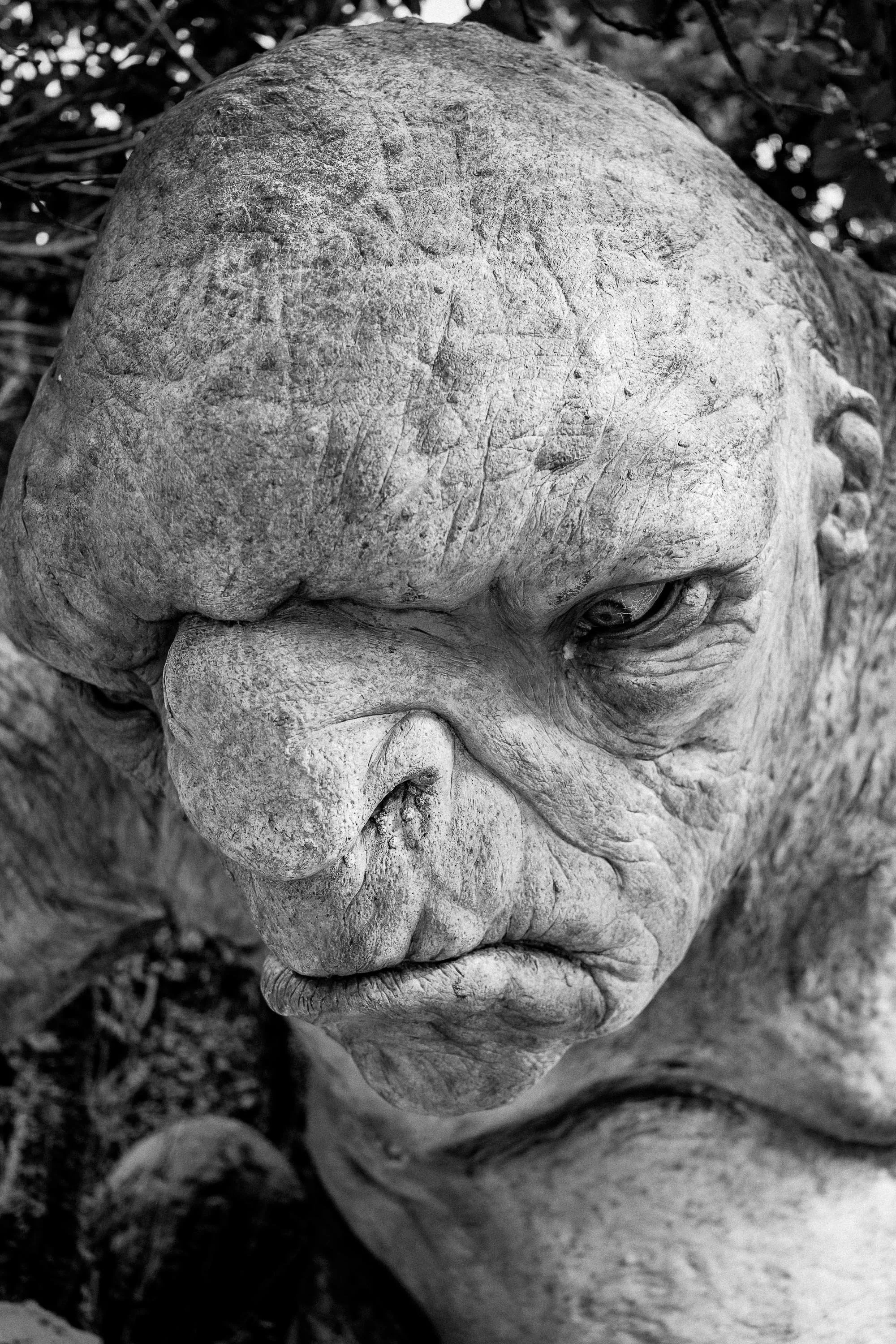 Troll at Weta