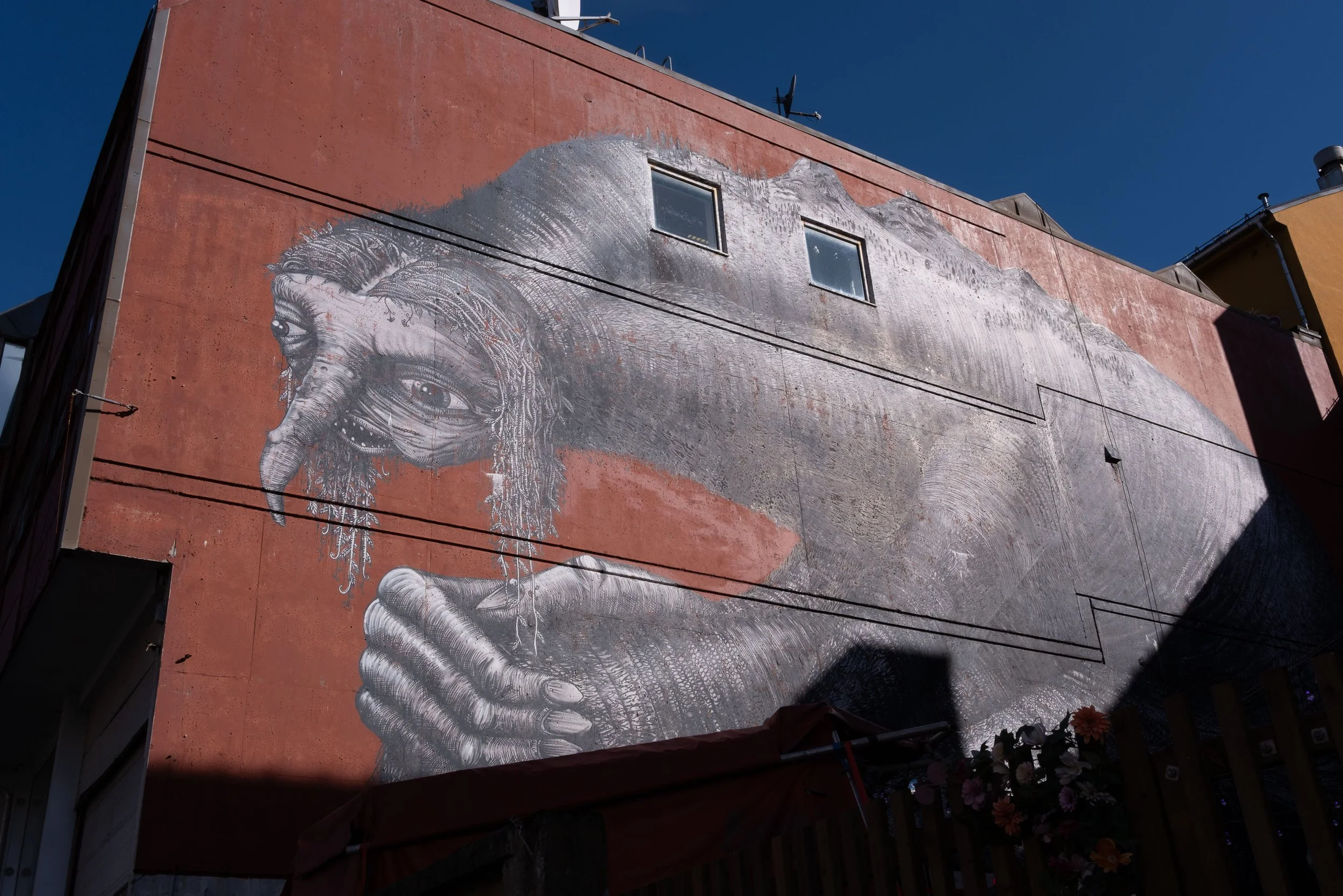 A Phlegm in Bodo