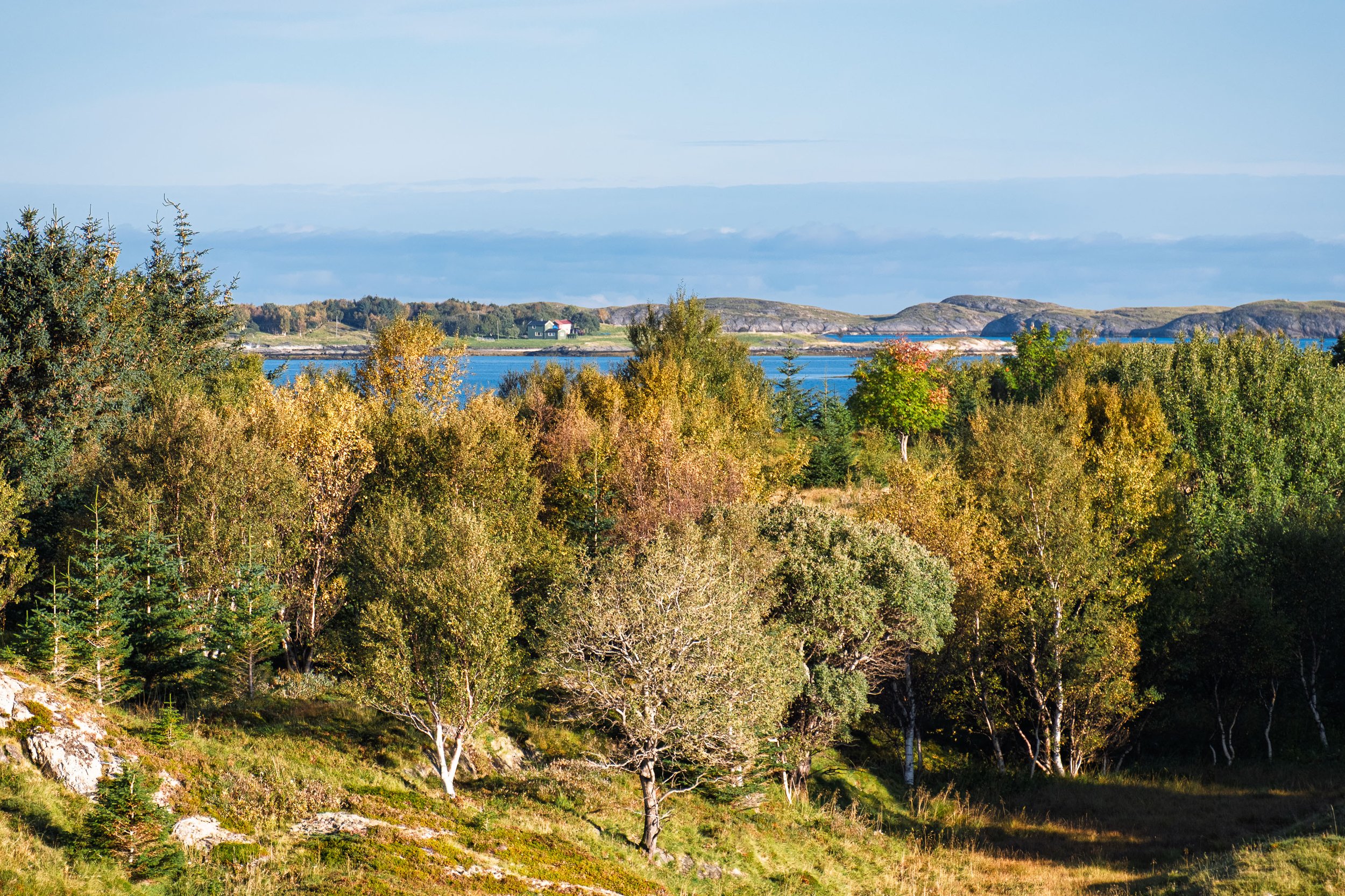 Post Arctic Circle Scenery