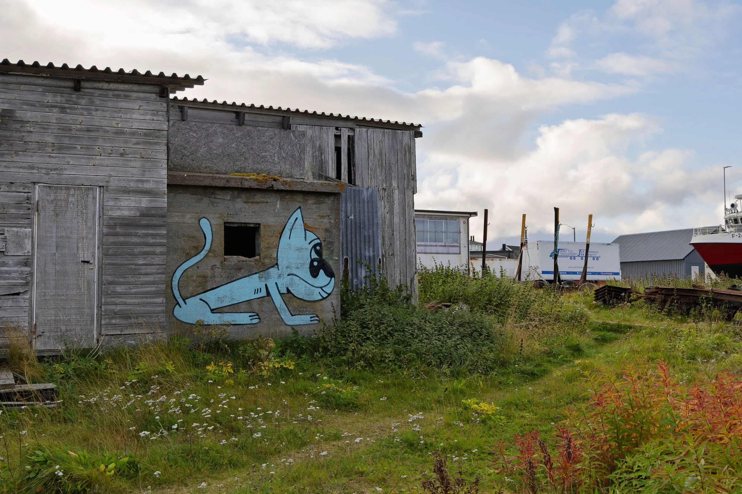 Street Art in Vardo II