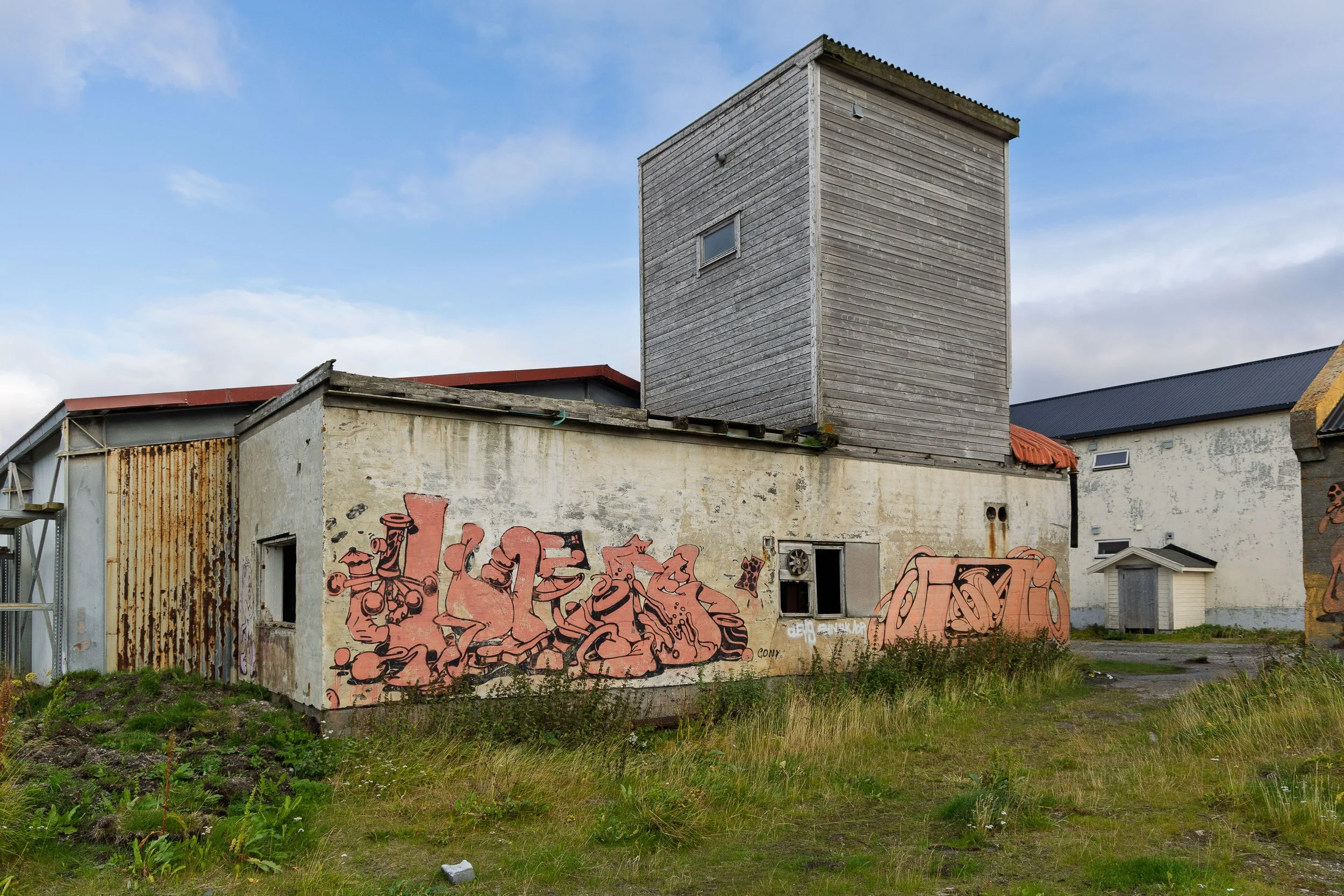 Street Art in Vardo I