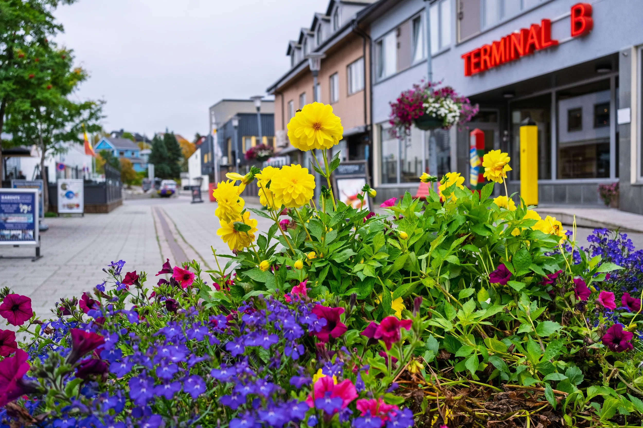 Downtown Kirkenes