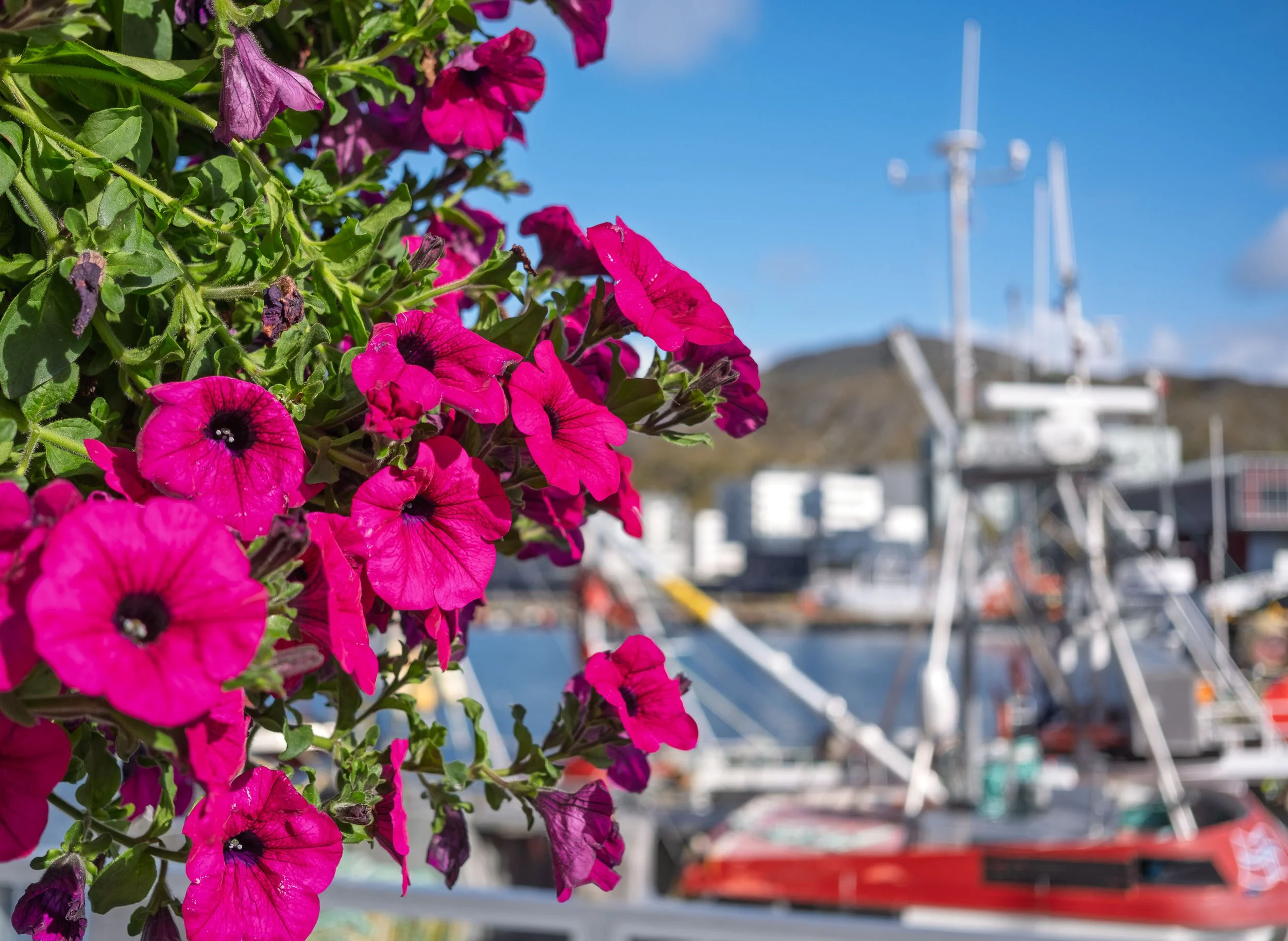 At the Dock