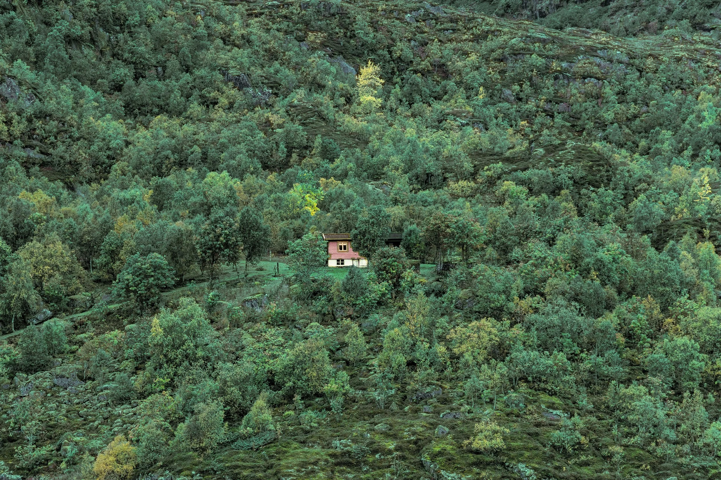 Small House in the Woods
