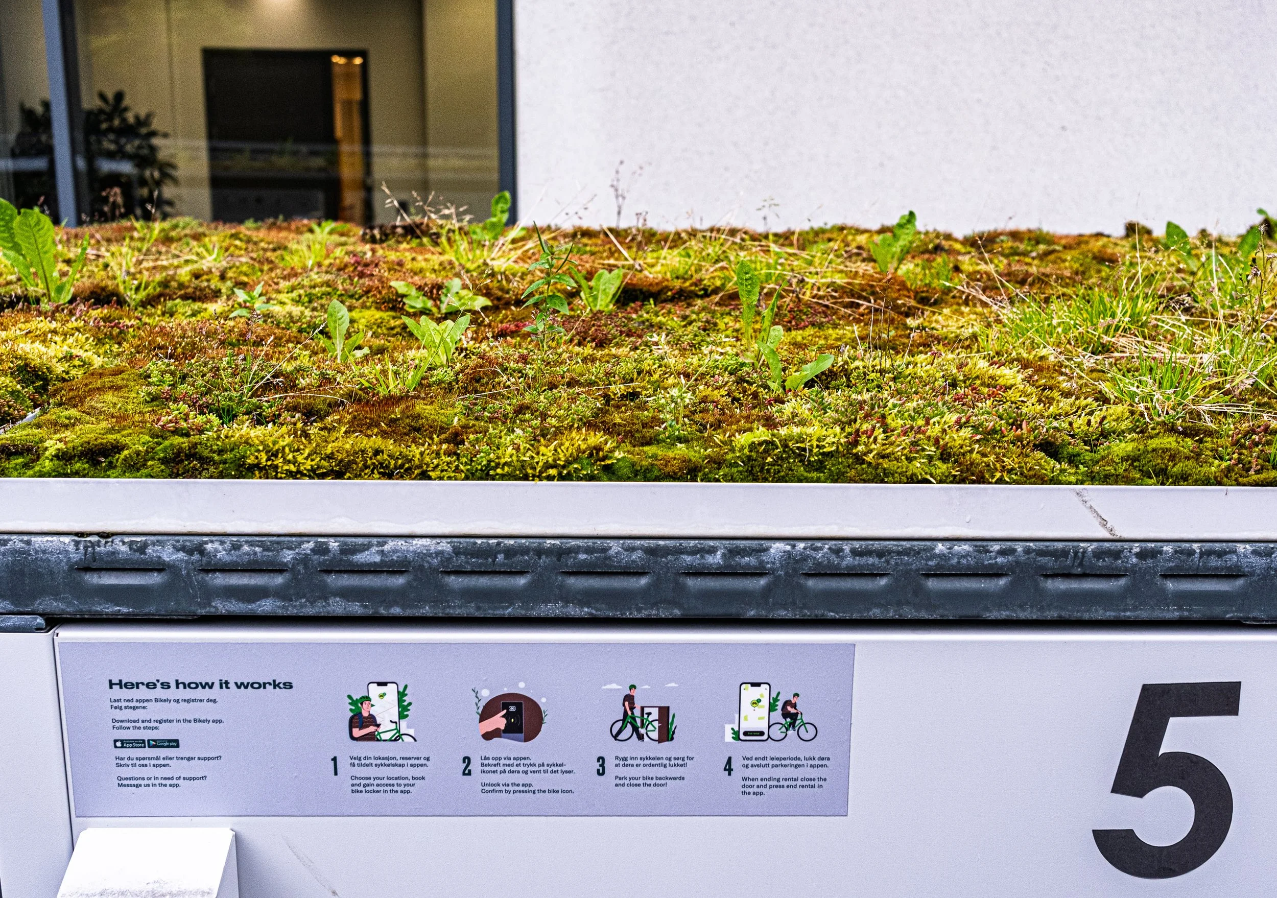 Grass Topped Bike Locker
