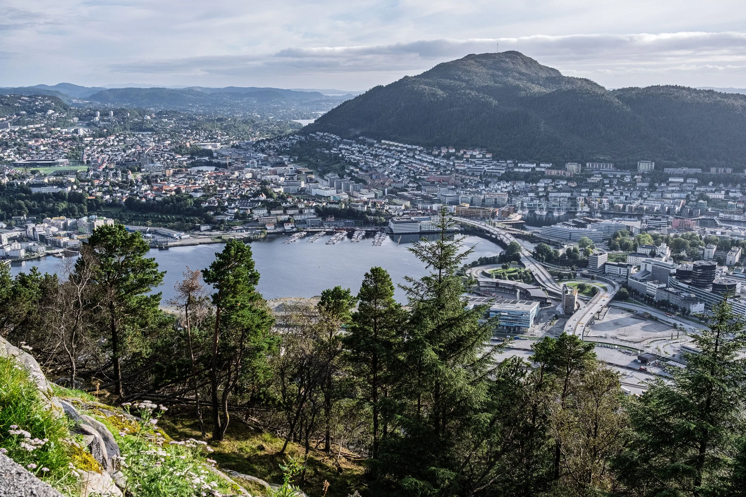 Another View From the Top