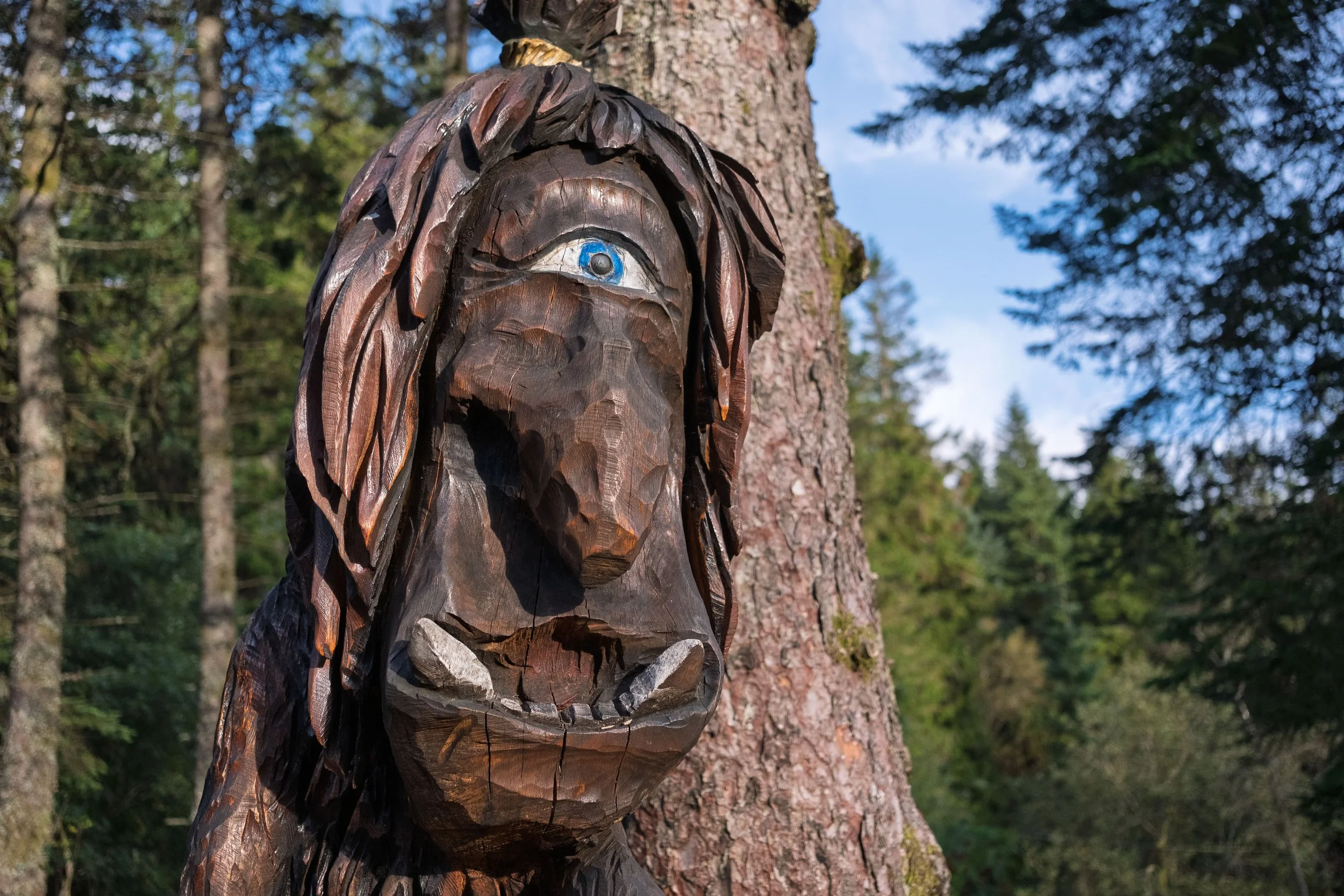 In the Troll Garden