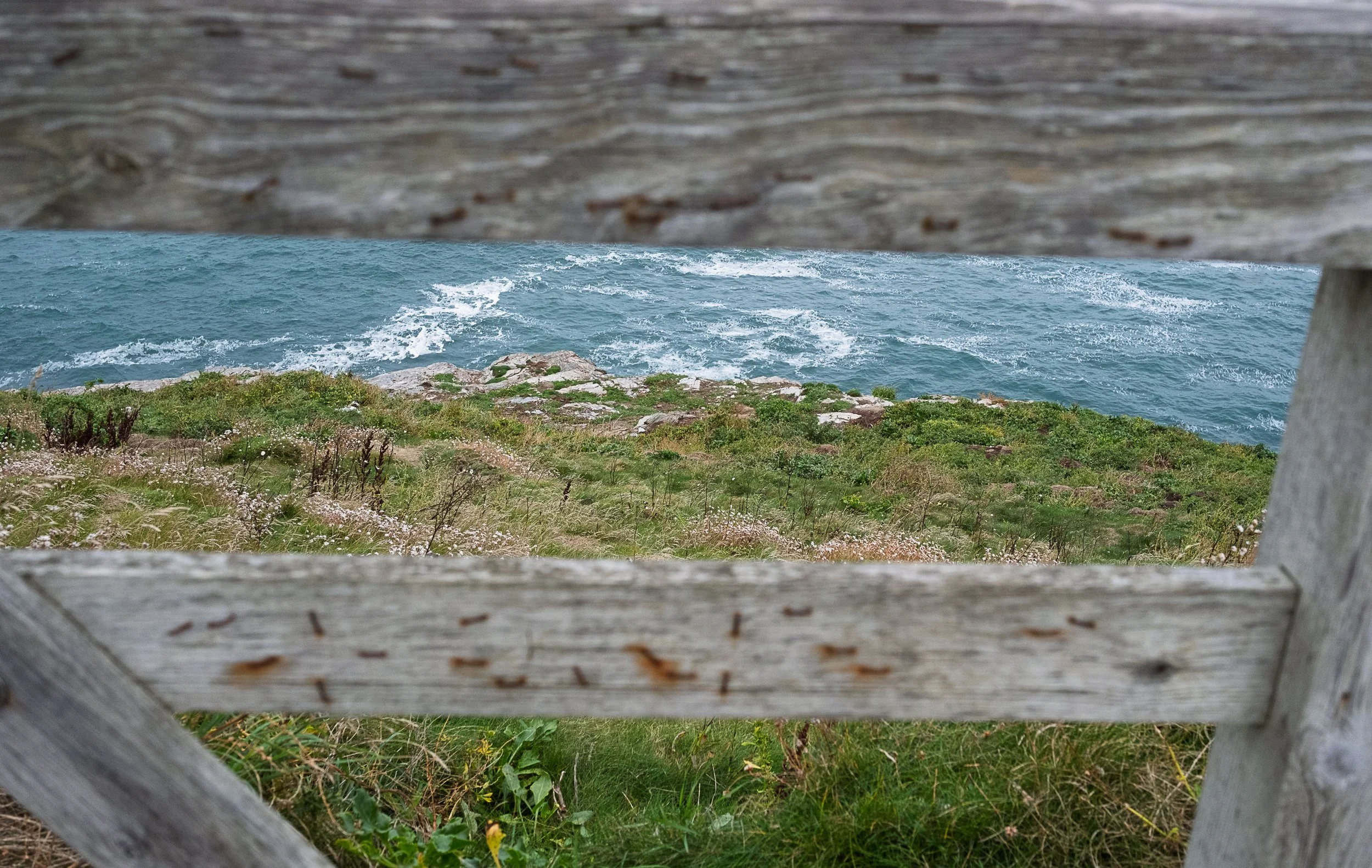 Through the Gate
