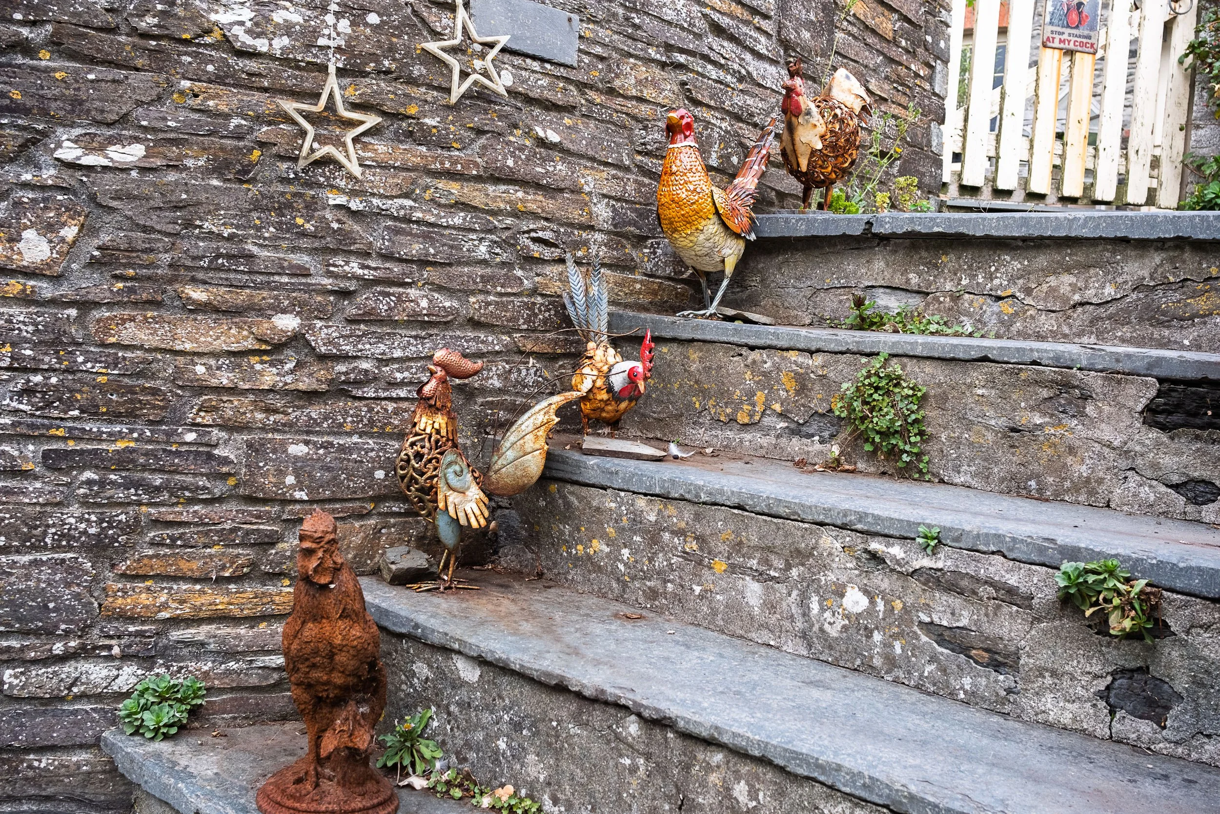 Chooks on Stairs