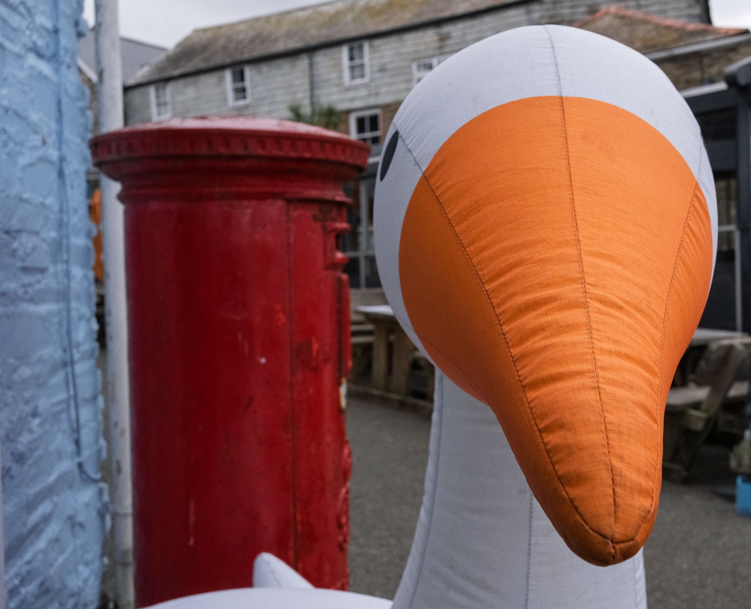 Duck and Post Box
