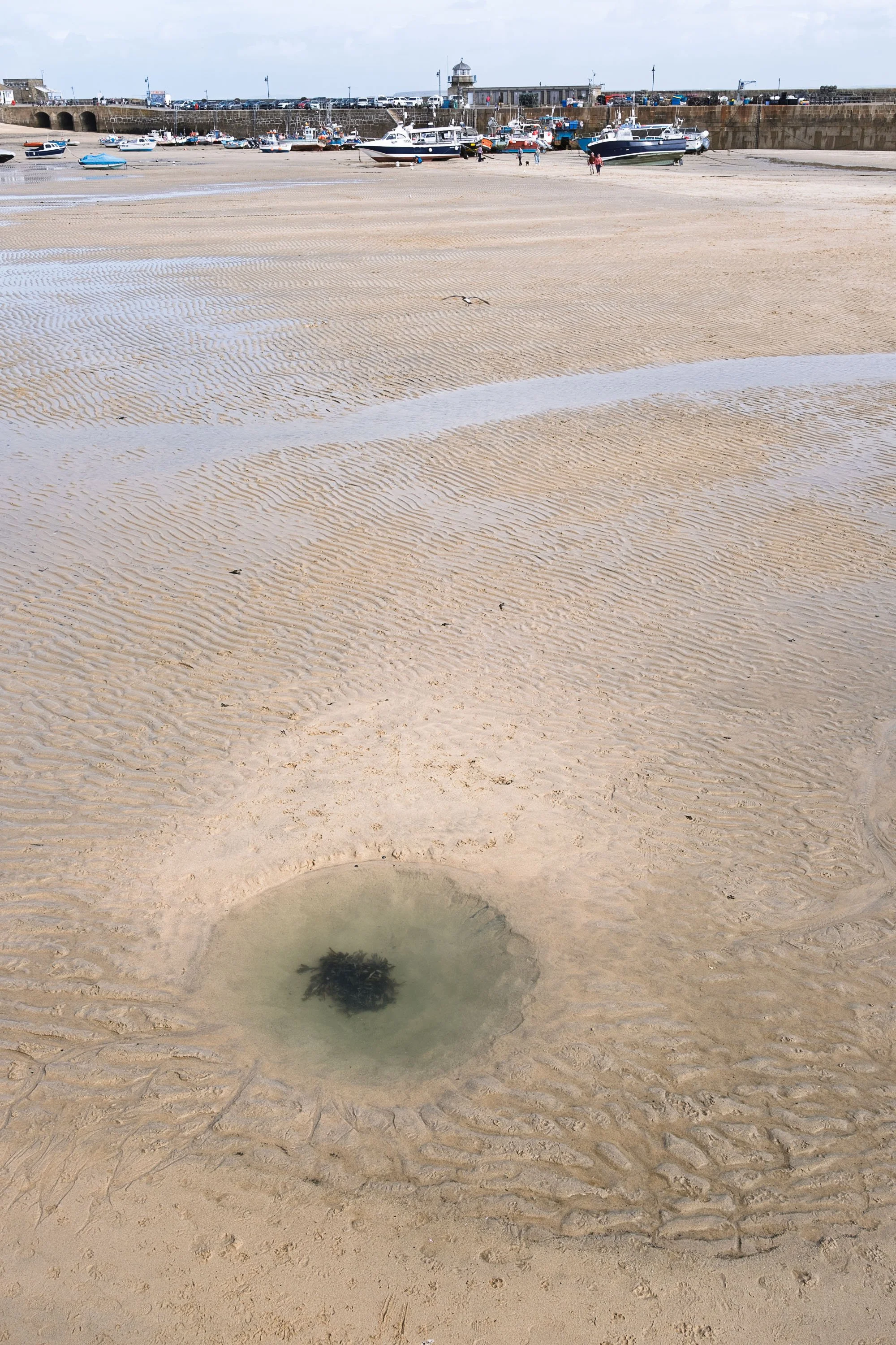 Seaweed Pond at St Ives