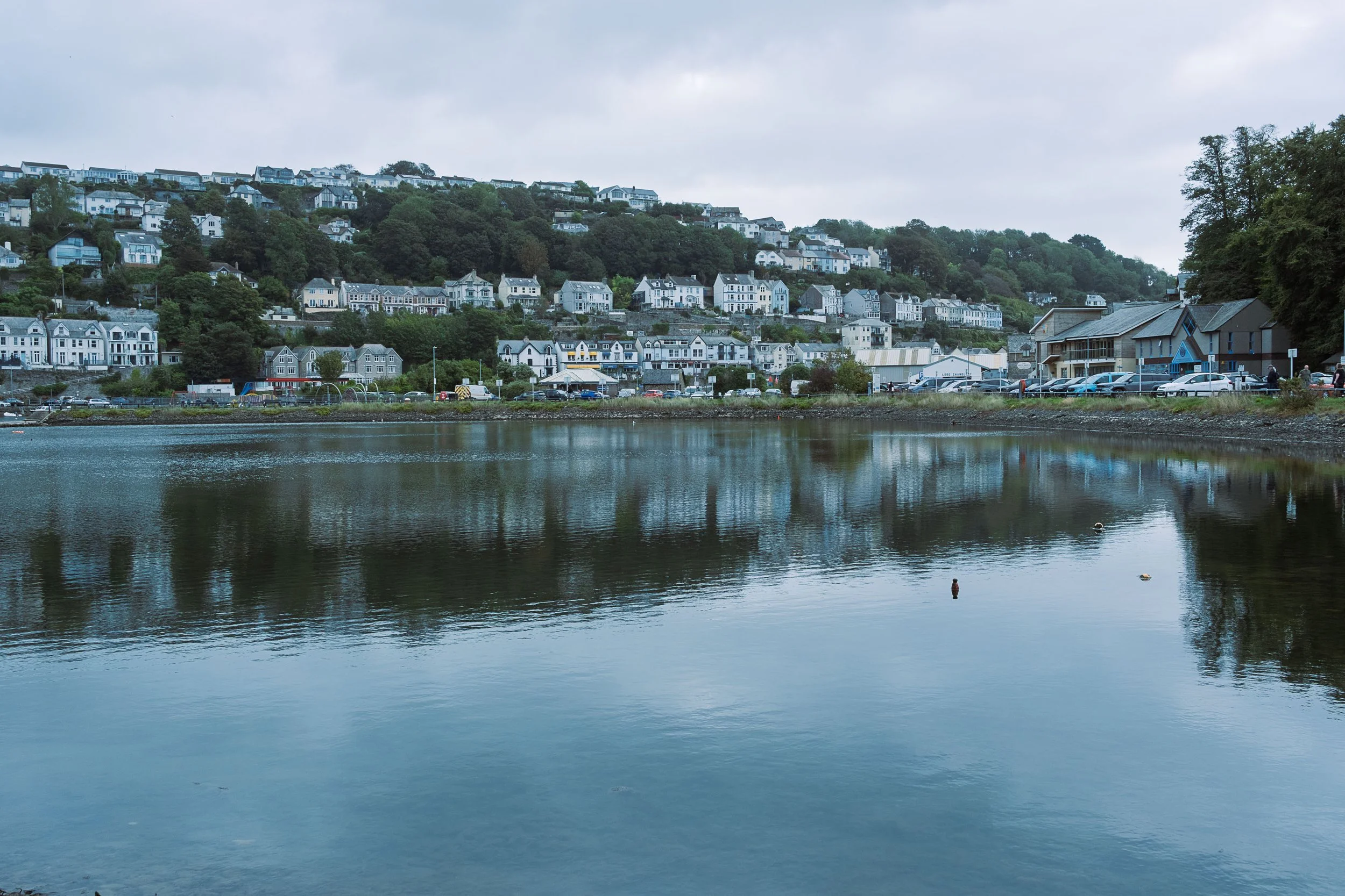 Riverside Pond at Looe