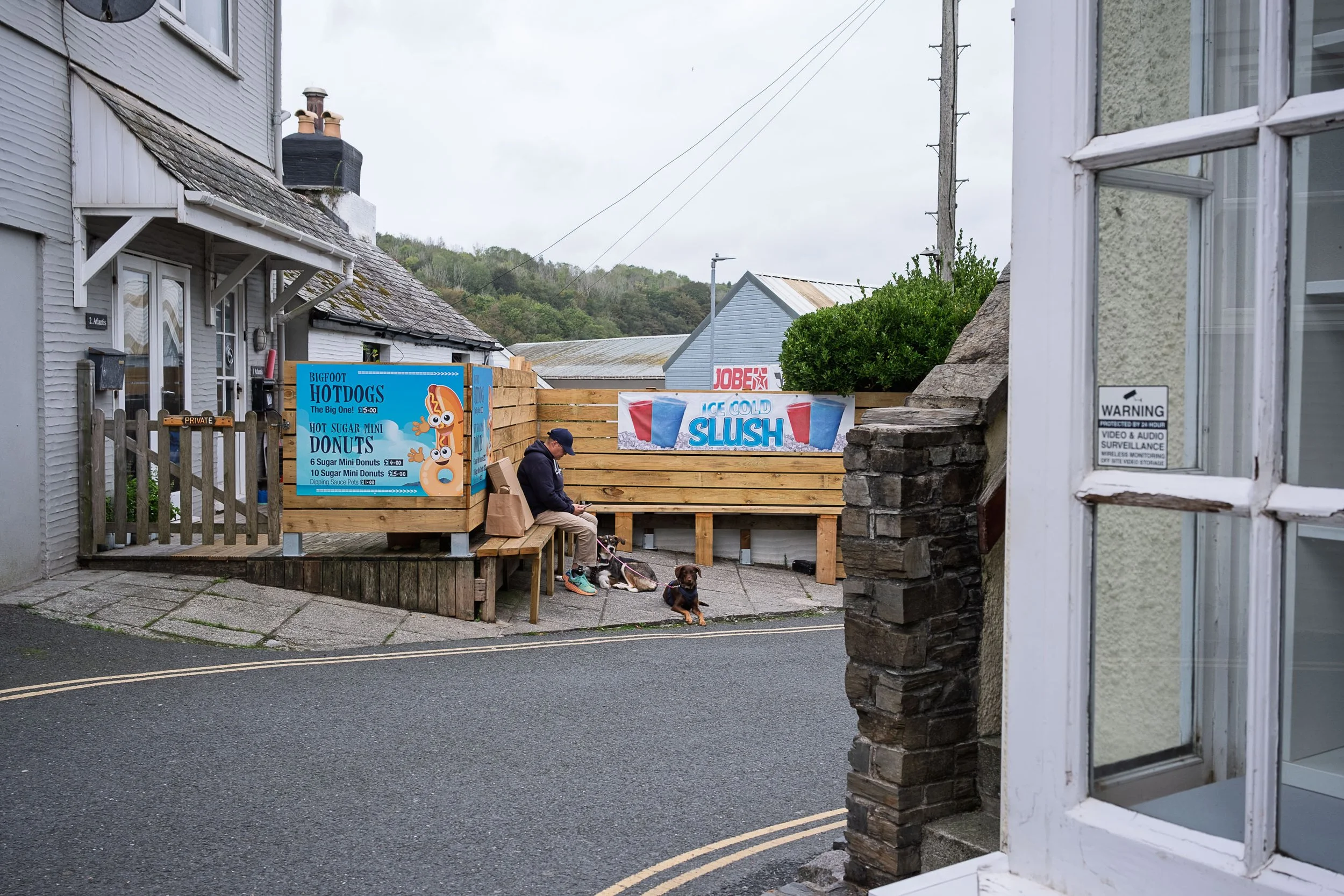 Hot Dogs and Resting Dogs in Looe