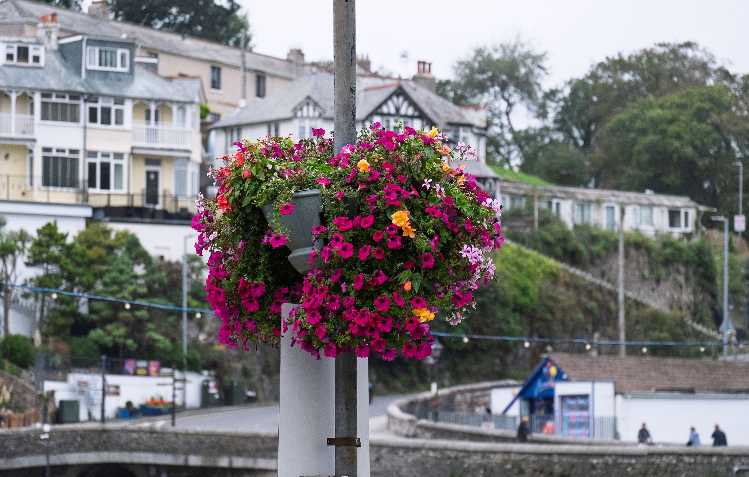 Flower Baskets by the River