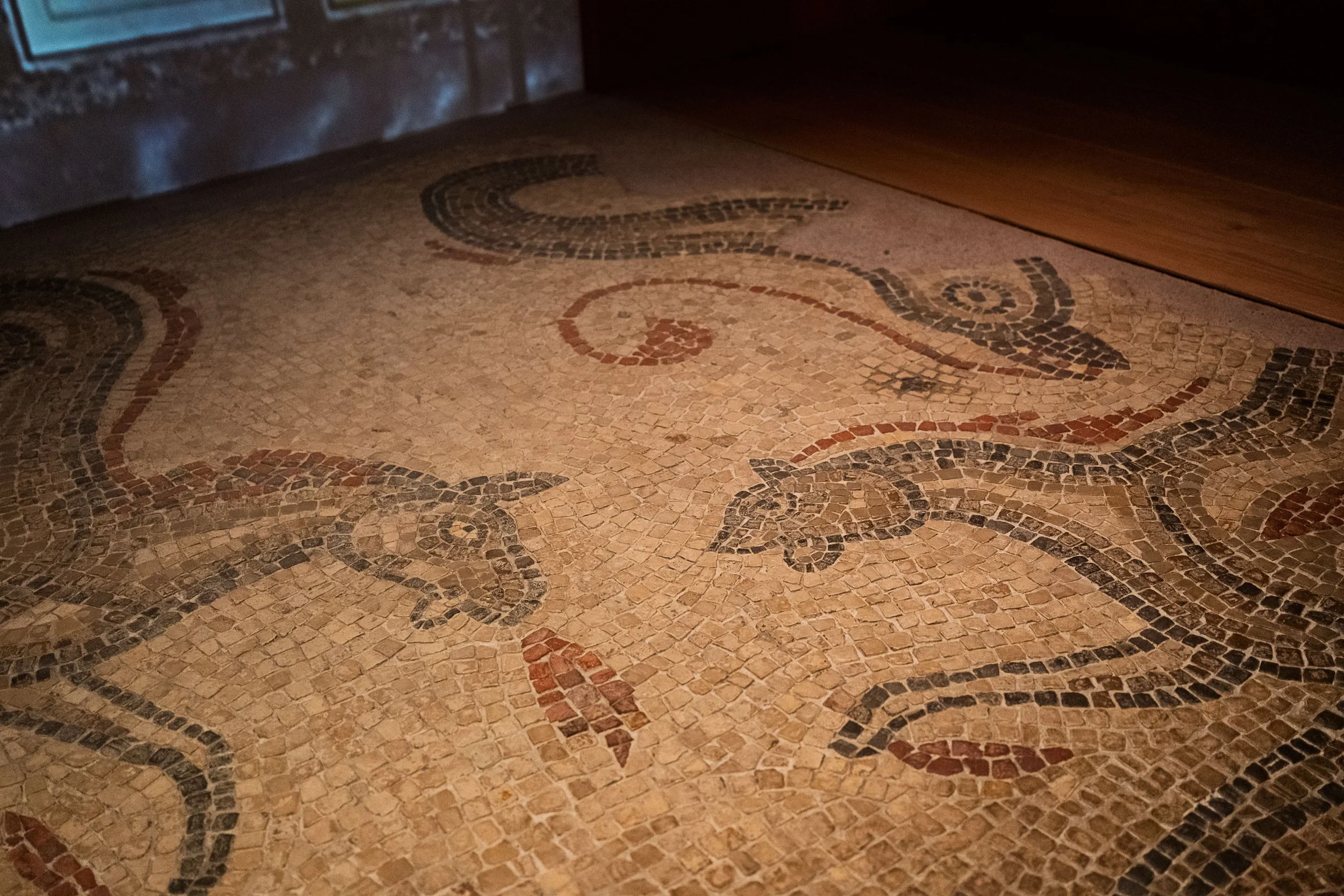 Mosaic Floor in the Baths